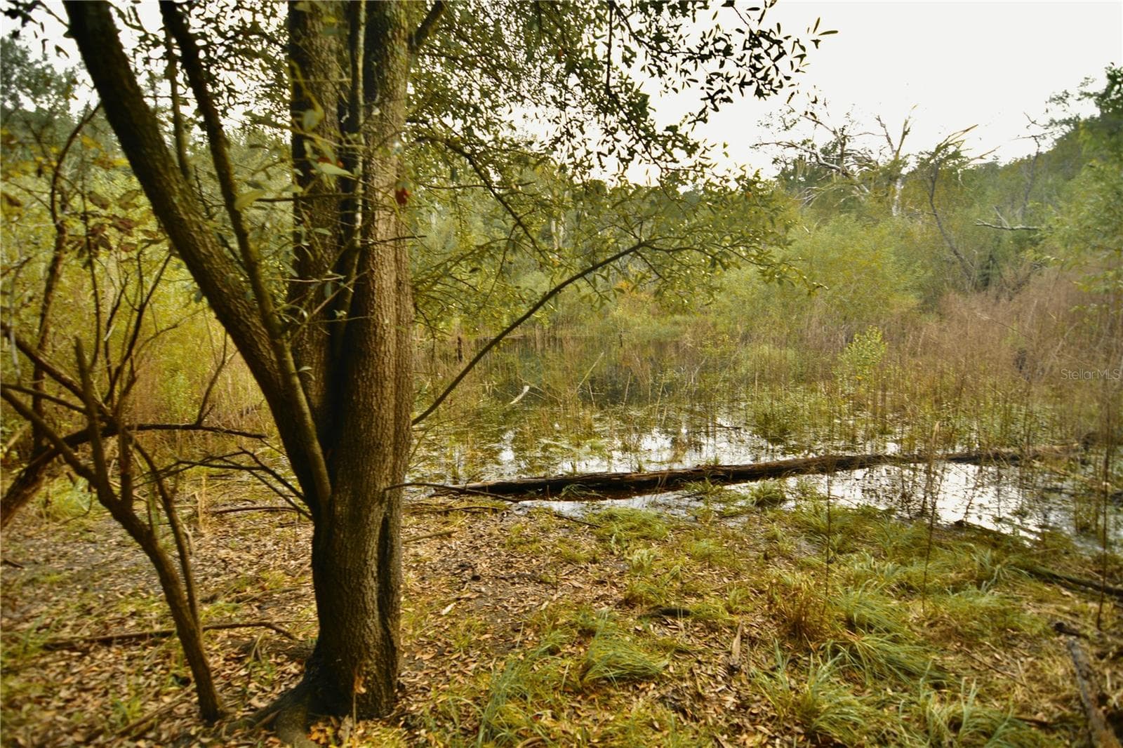 Land at 00 50TH ST, LIVE OAK, photo 15 of 62
