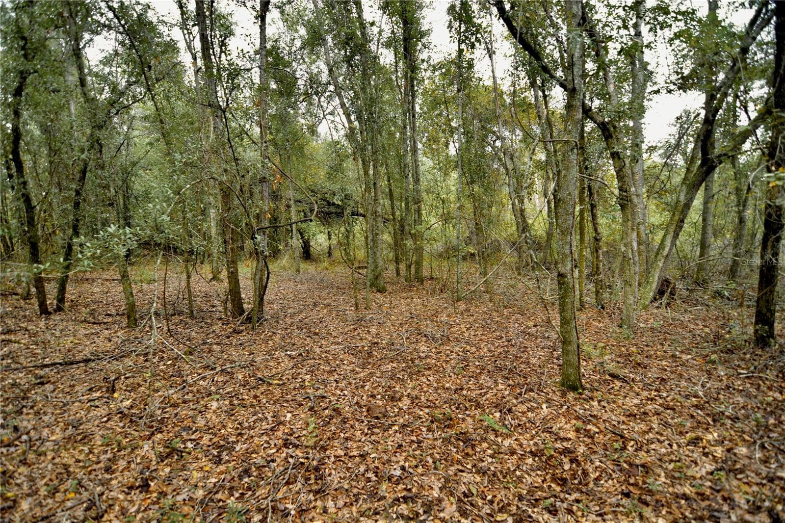Land at 00 50TH ST, LIVE OAK, photo 18 of 62