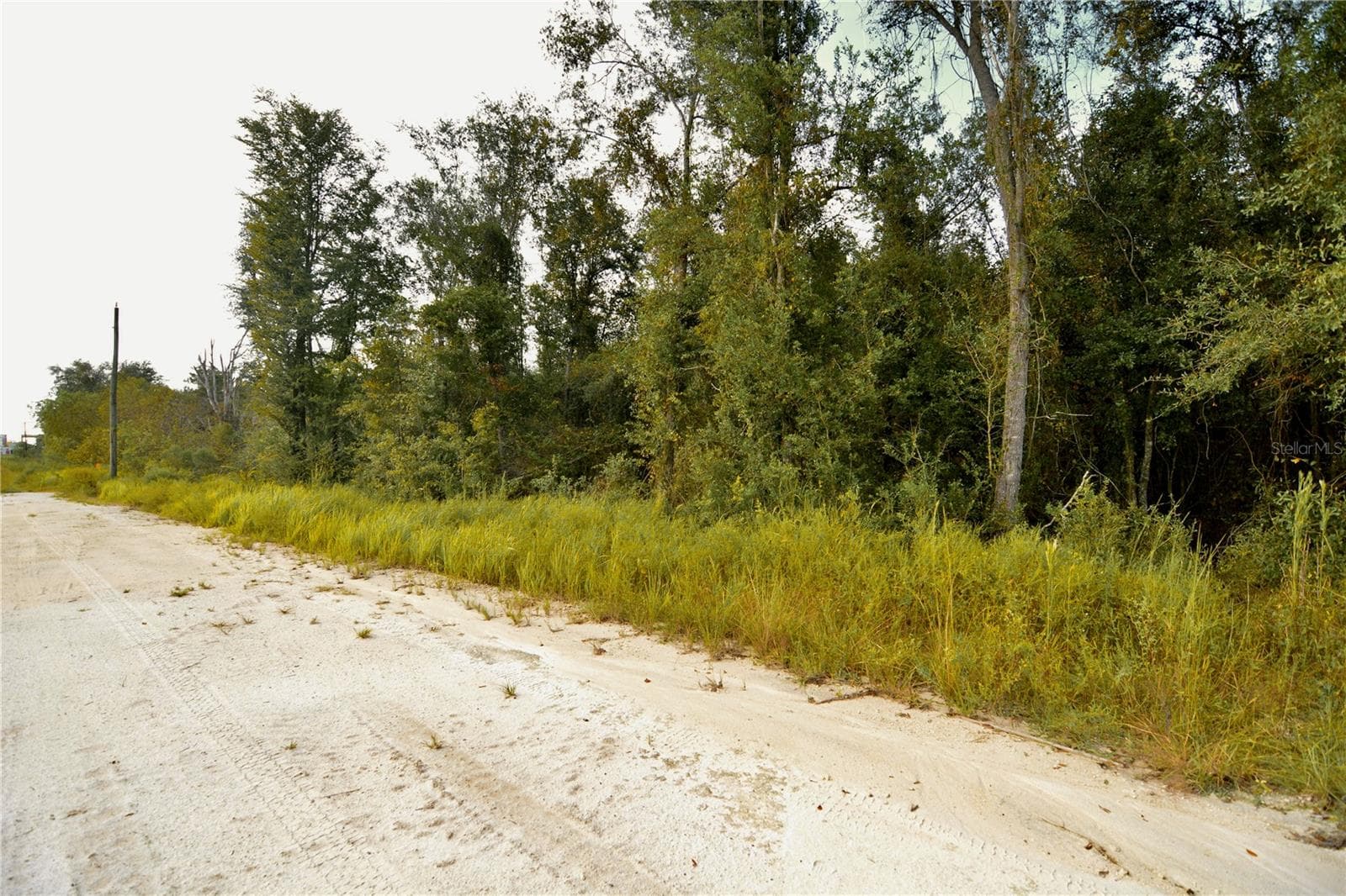 Land at 00 50TH ST, LIVE OAK, photo 19 of 62