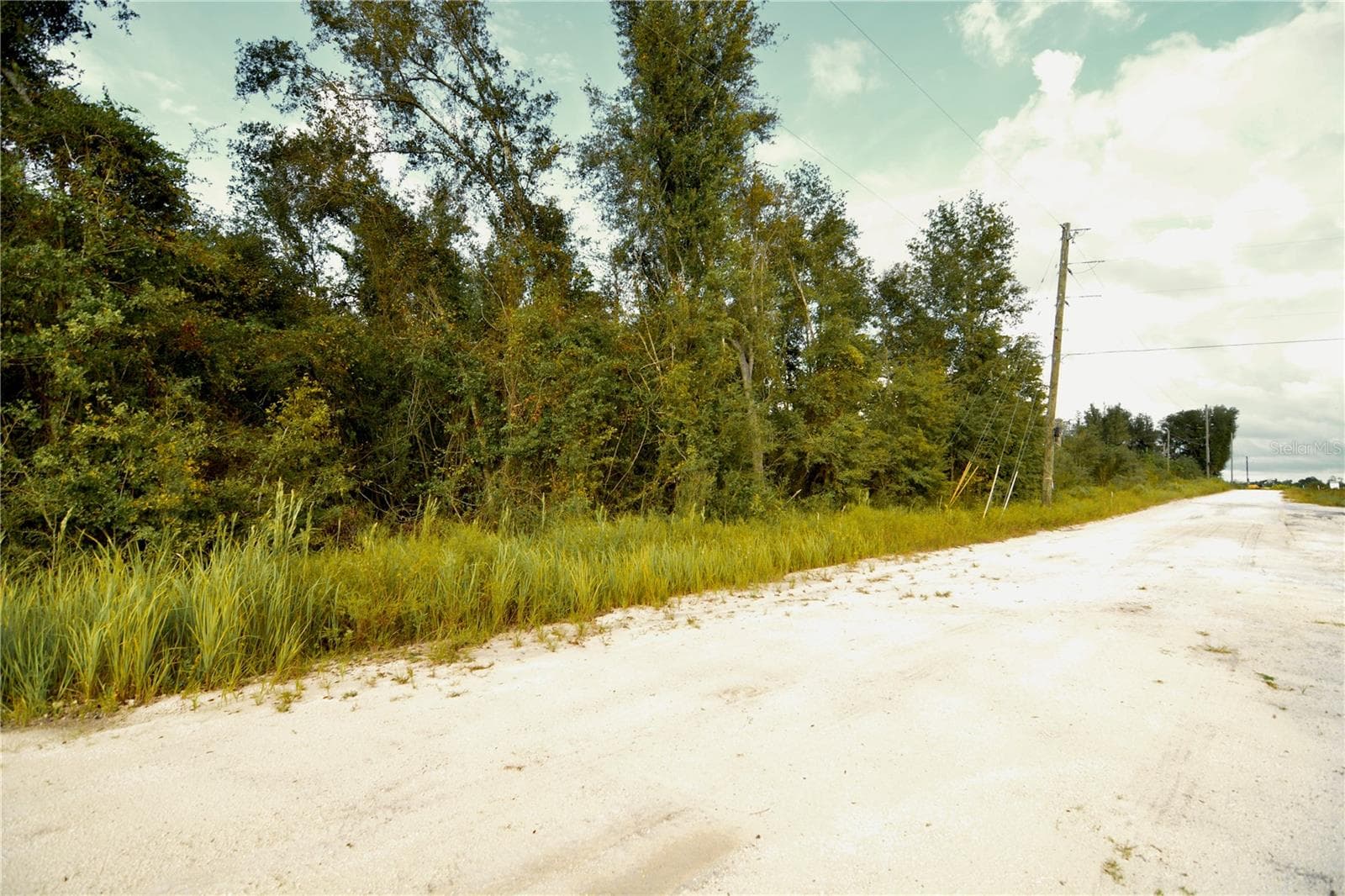 Land at 00 50TH ST, LIVE OAK, photo 20 of 62