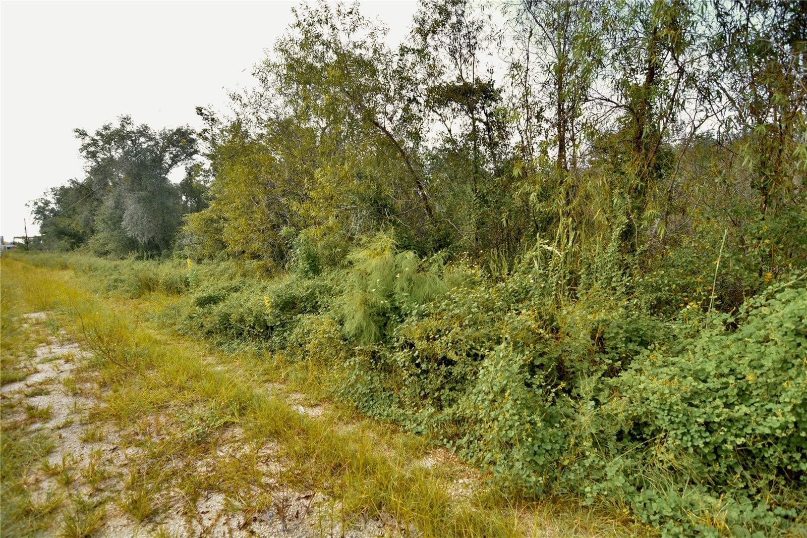 Land at 00 50TH ST, LIVE OAK, photo 21 of 62