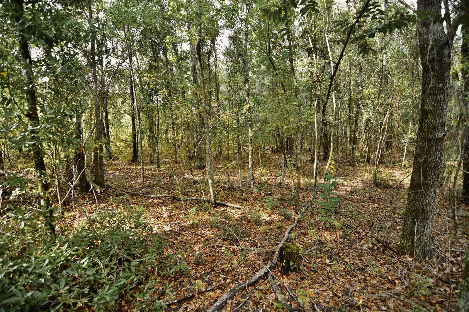 Land at 00 50TH ST, LIVE OAK, photo 25 of 62