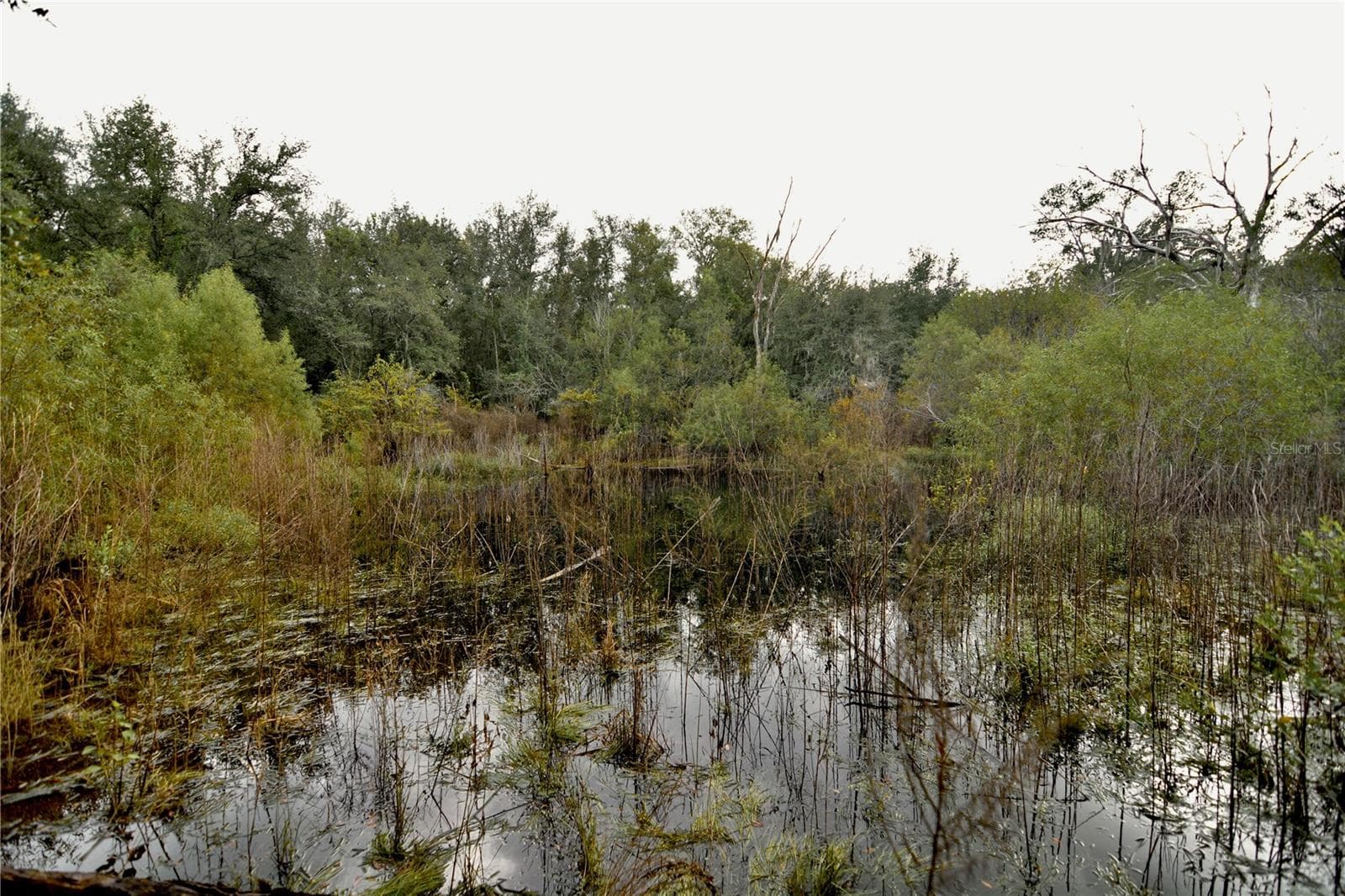 Land at 00 50TH ST, LIVE OAK, photo 36 of 62
