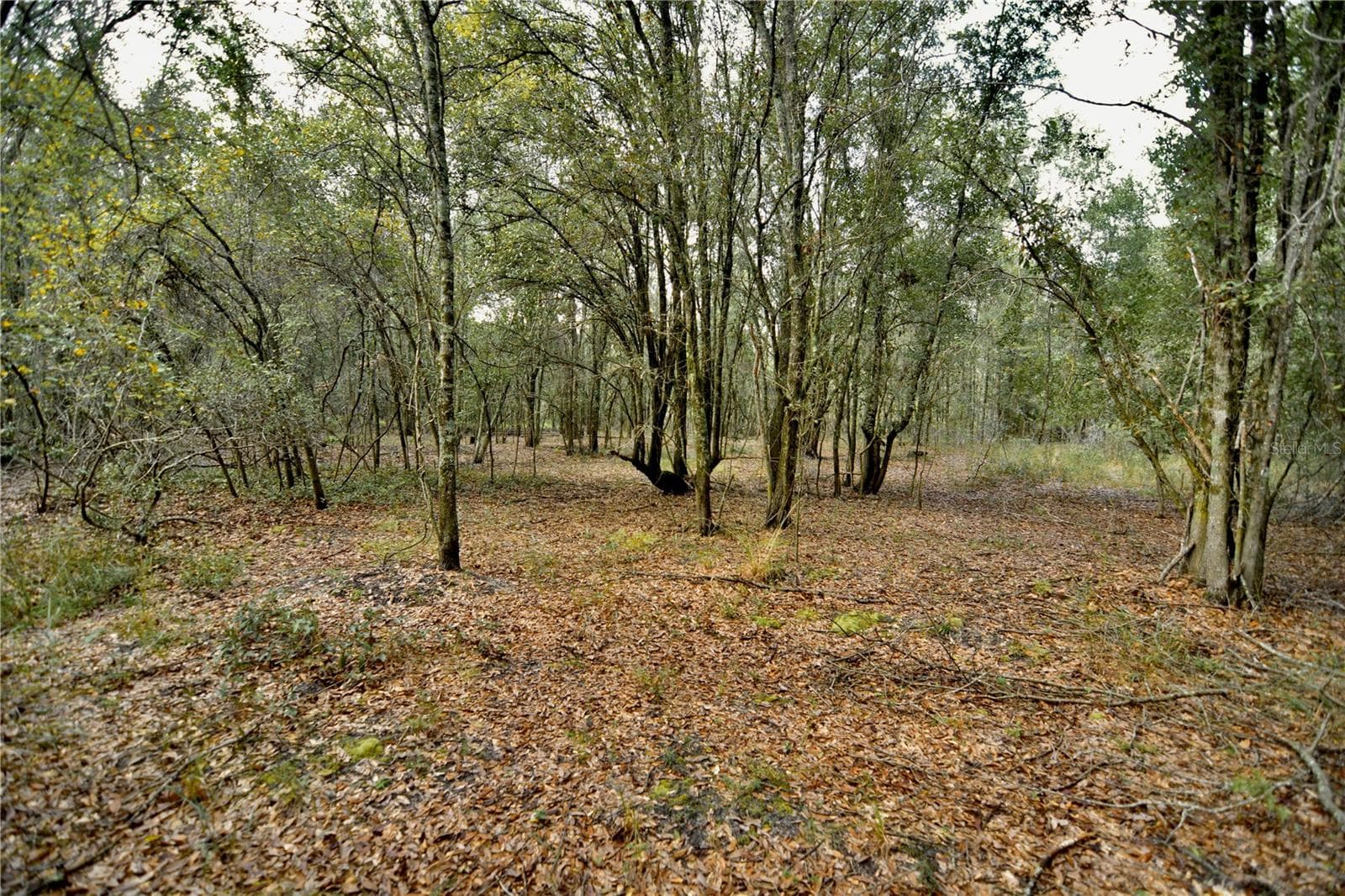 Land at 00 50TH ST, LIVE OAK, photo 43 of 62