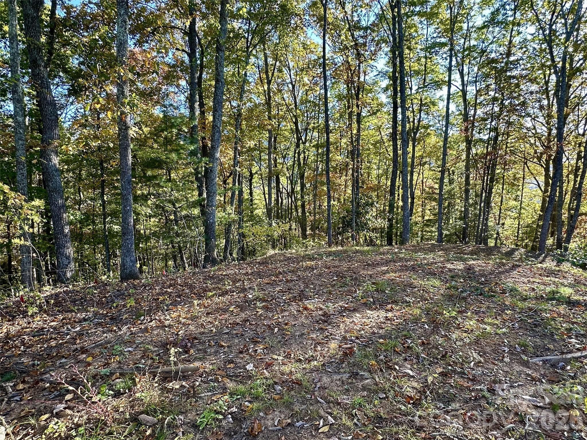 Lot at 534 Cicada Drive, Maggie Valley, photo 6 of 32