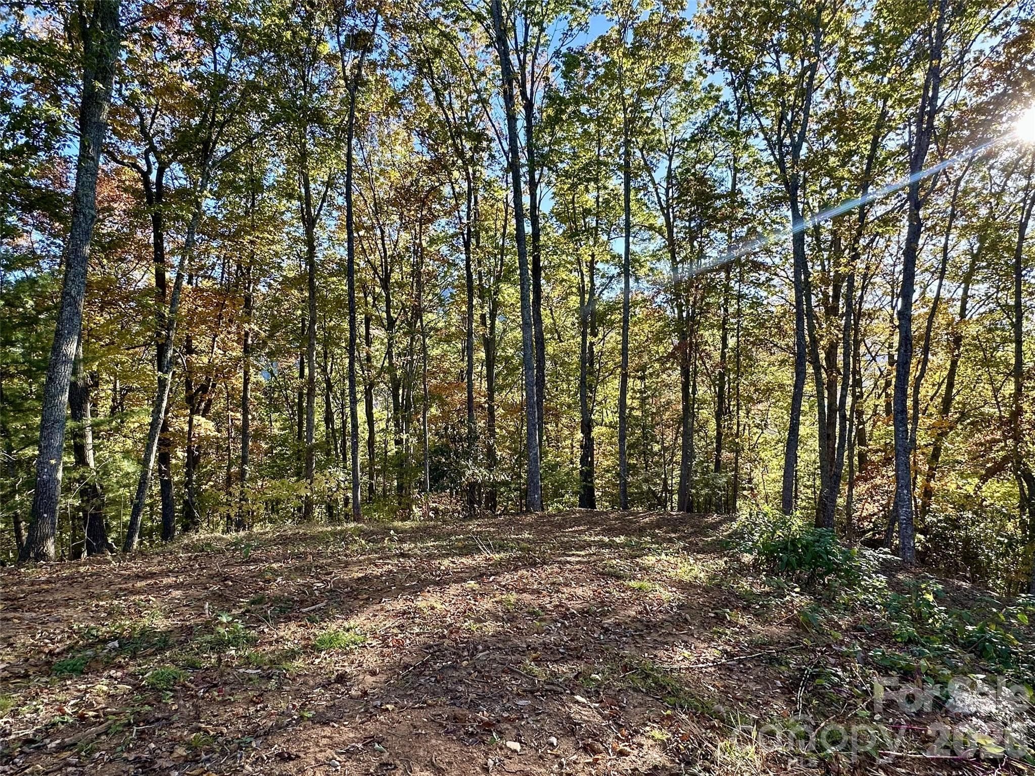 Lot at 534 Cicada Drive, Maggie Valley, photo 10 of 32