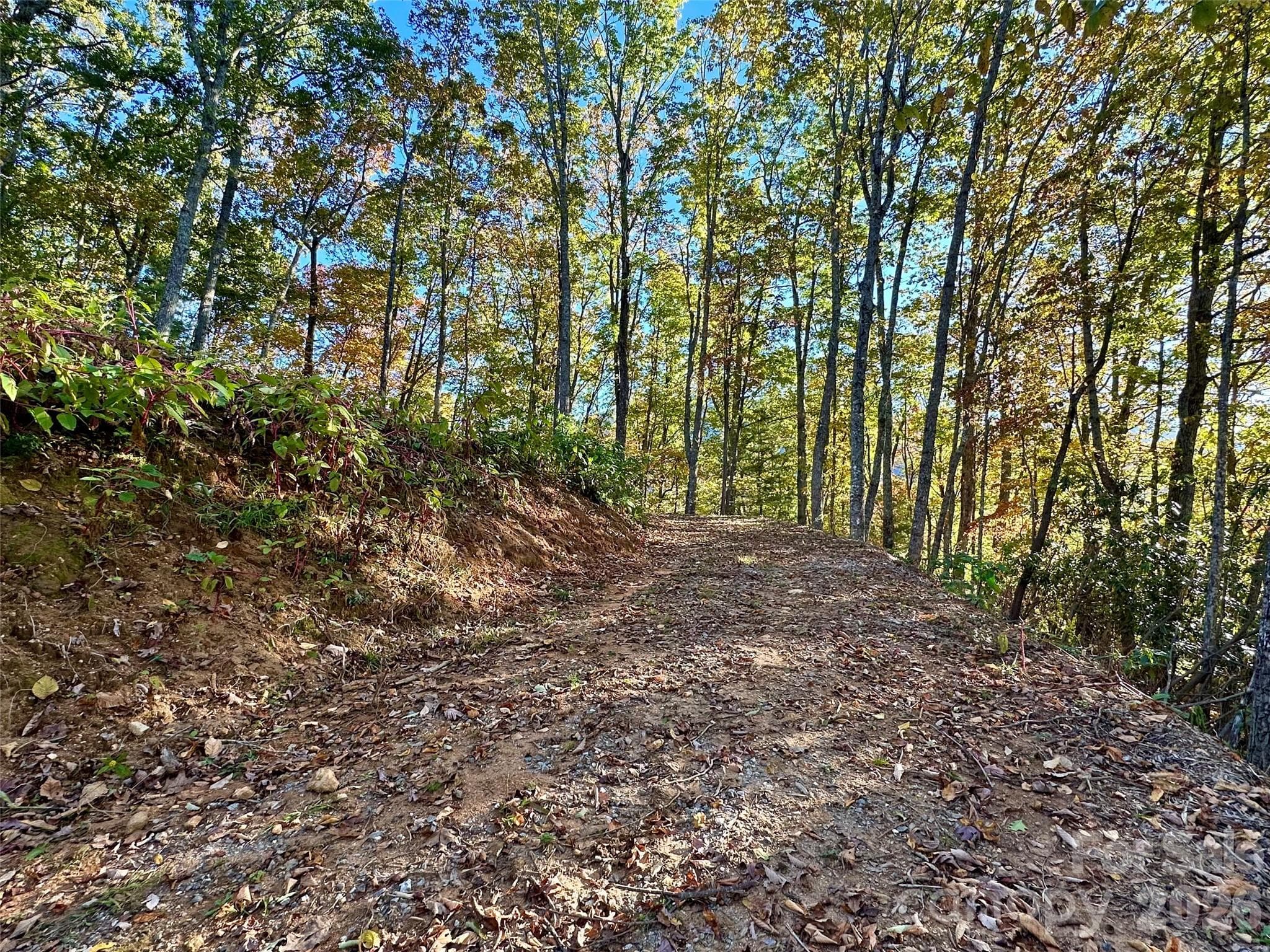Lot at 534 Cicada Drive, Maggie Valley, photo 16 of 32