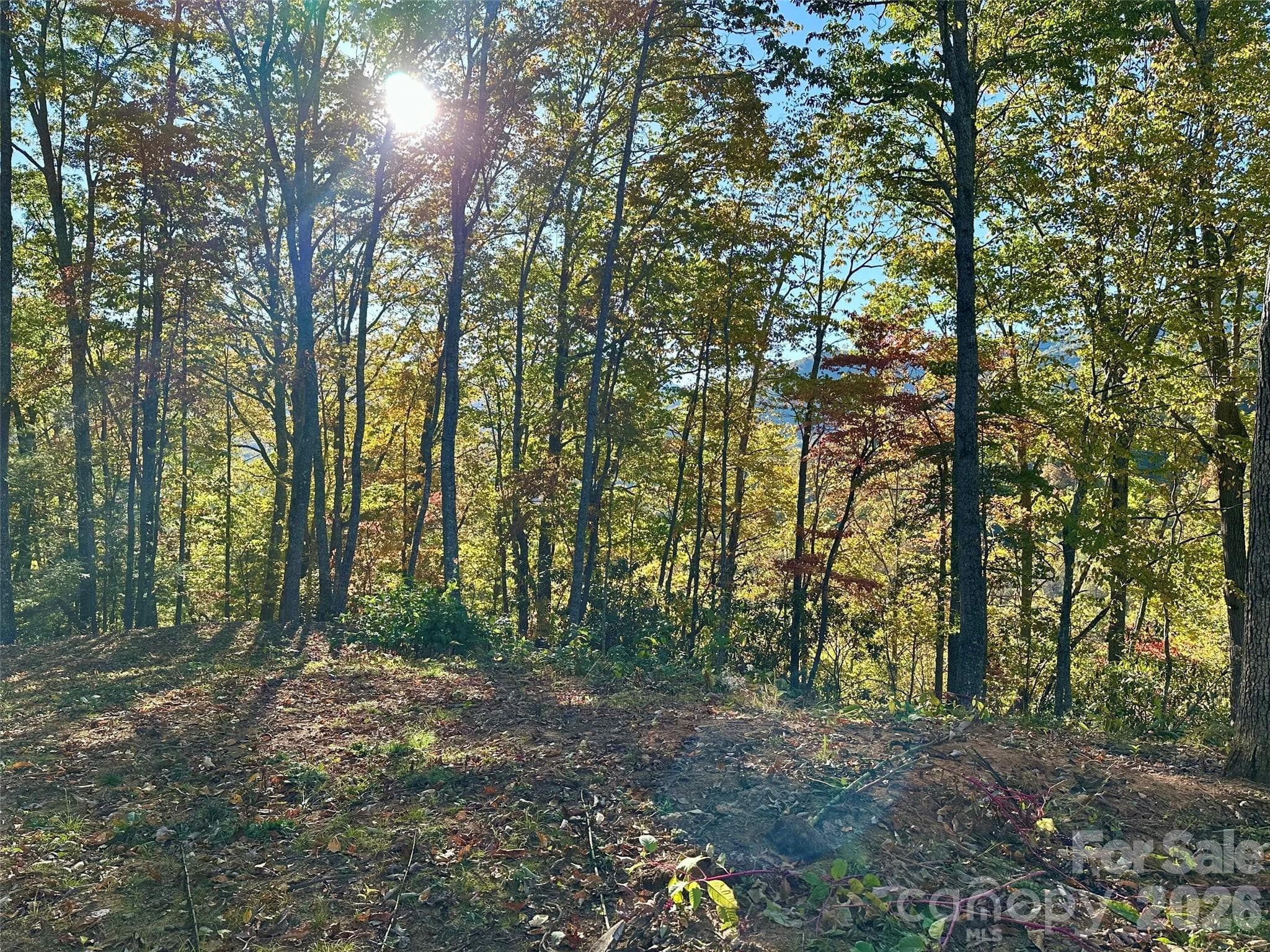 Lot at 534 Cicada Drive, Maggie Valley, photo 20 of 32
