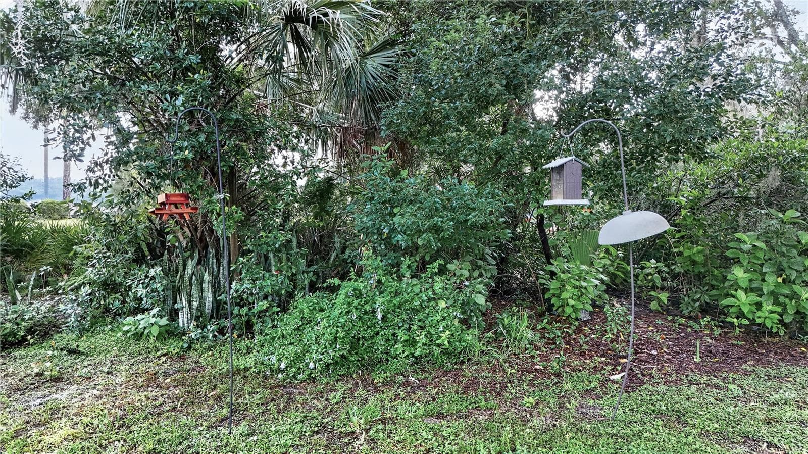 Single Family Residence at 3029 PINE COVE PL, EUSTIS, photo 41 of 42