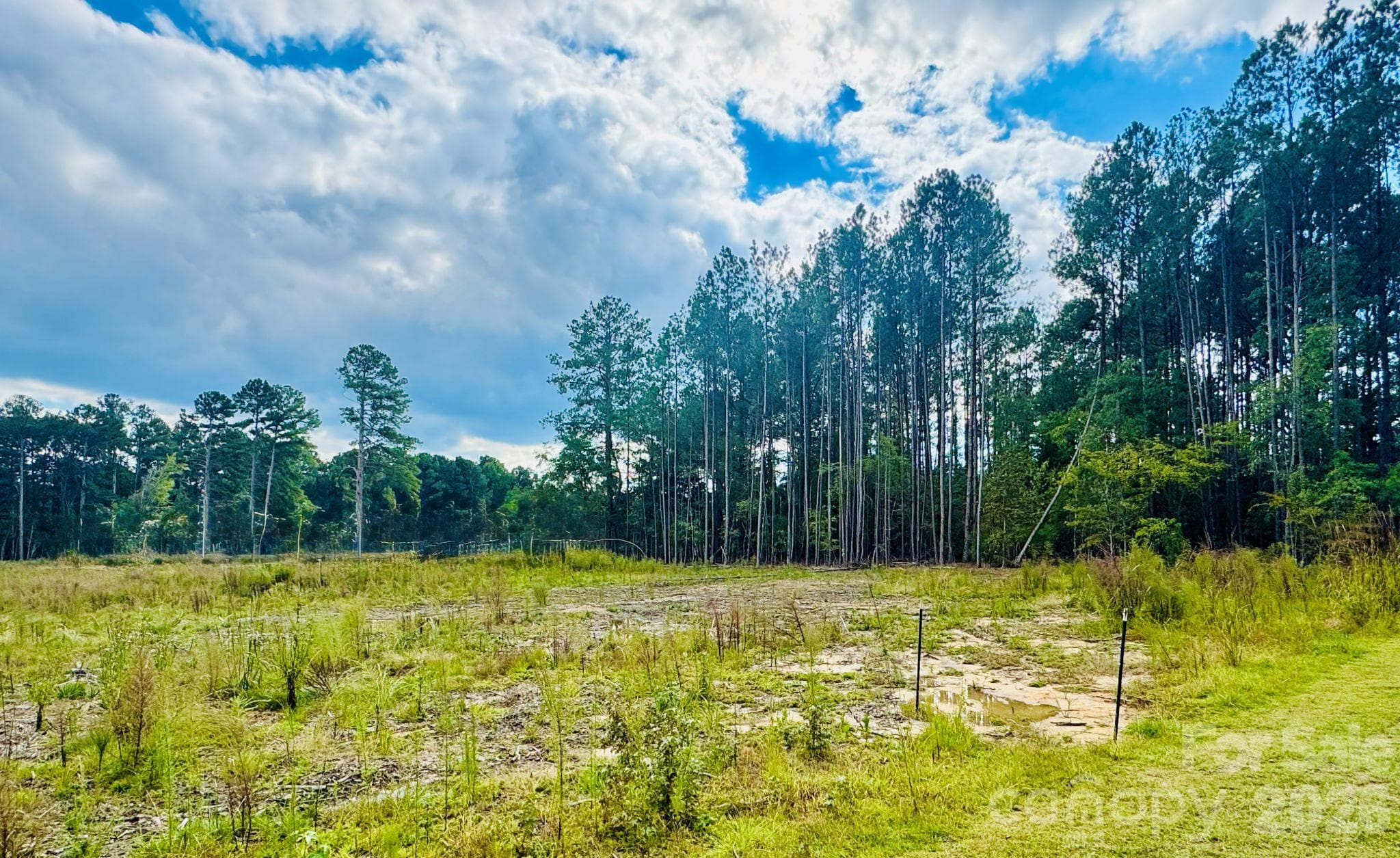 Acreage at 0000 State Road, Cheraw, photo 2 of 20