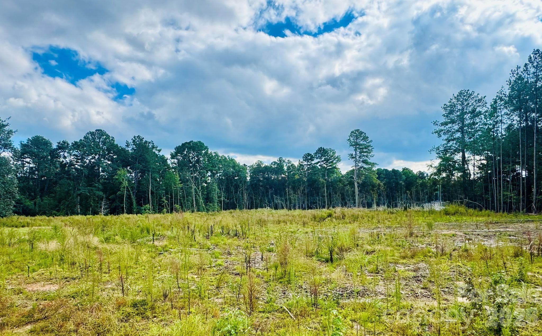 Acreage at 0000 State Road, Cheraw, photo 5 of 20