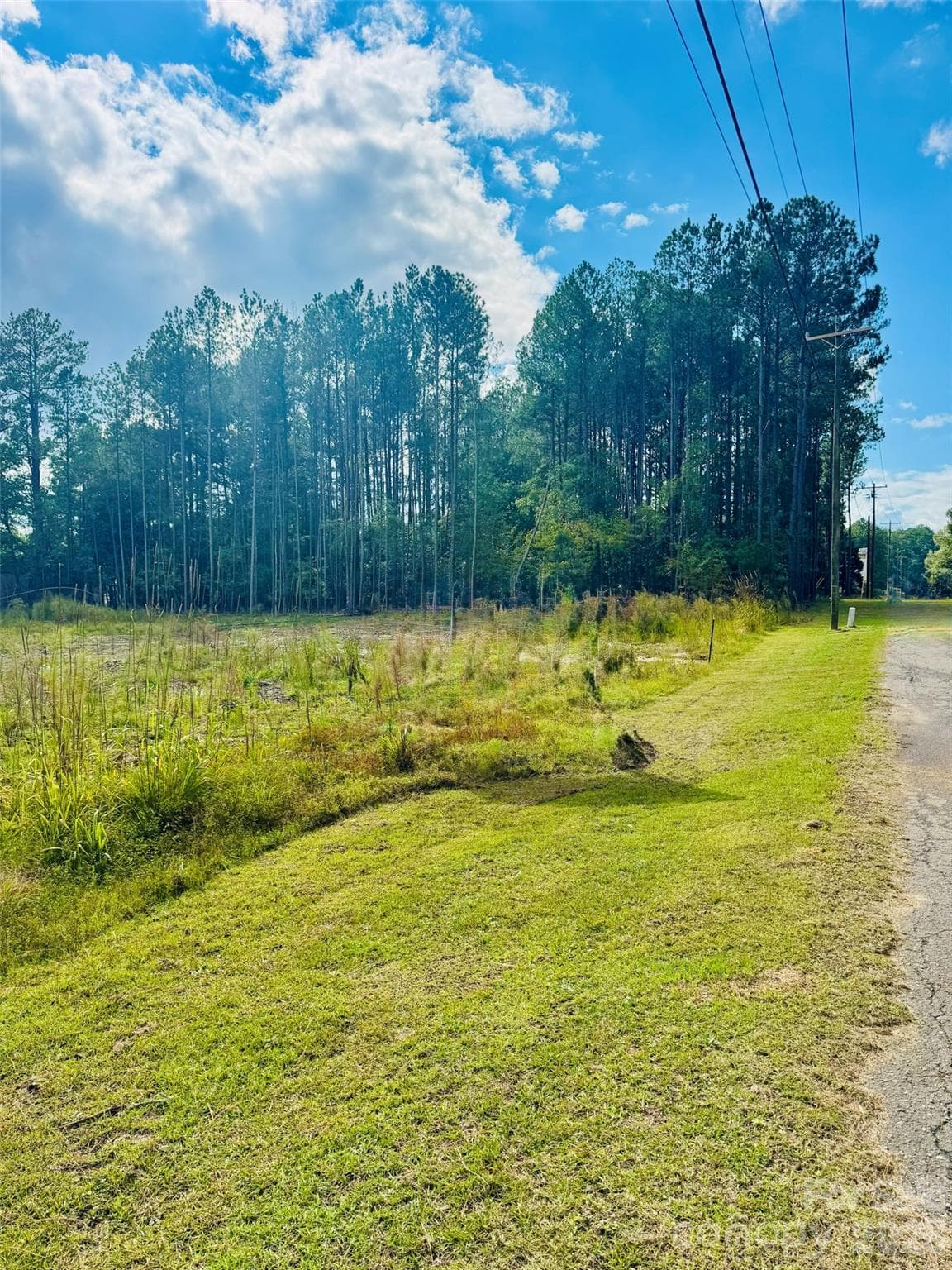 Acreage at 0000 State Road, Cheraw, photo 6 of 20