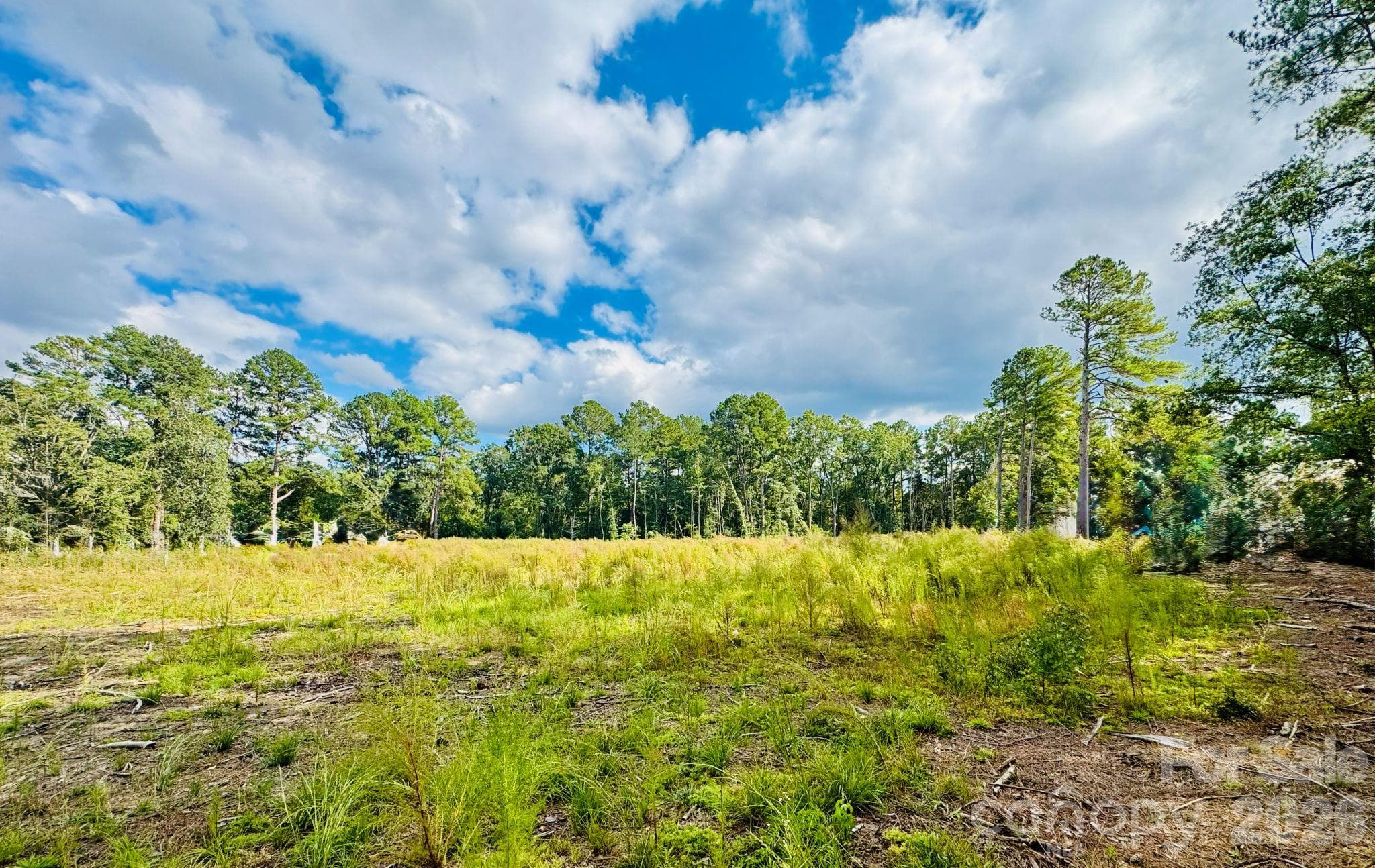 Acreage at 0000 State Road, Cheraw, photo 8 of 20