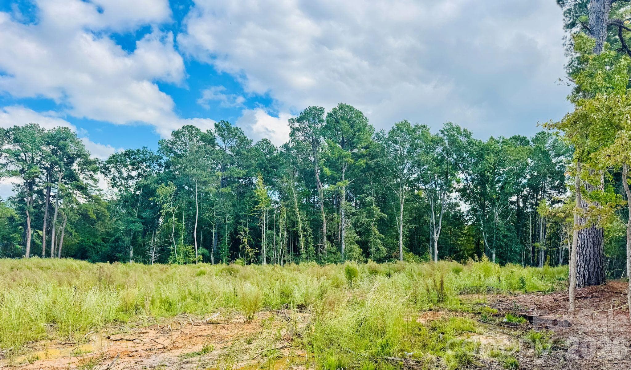 Acreage at 0000 State Road, Cheraw, photo 10 of 20
