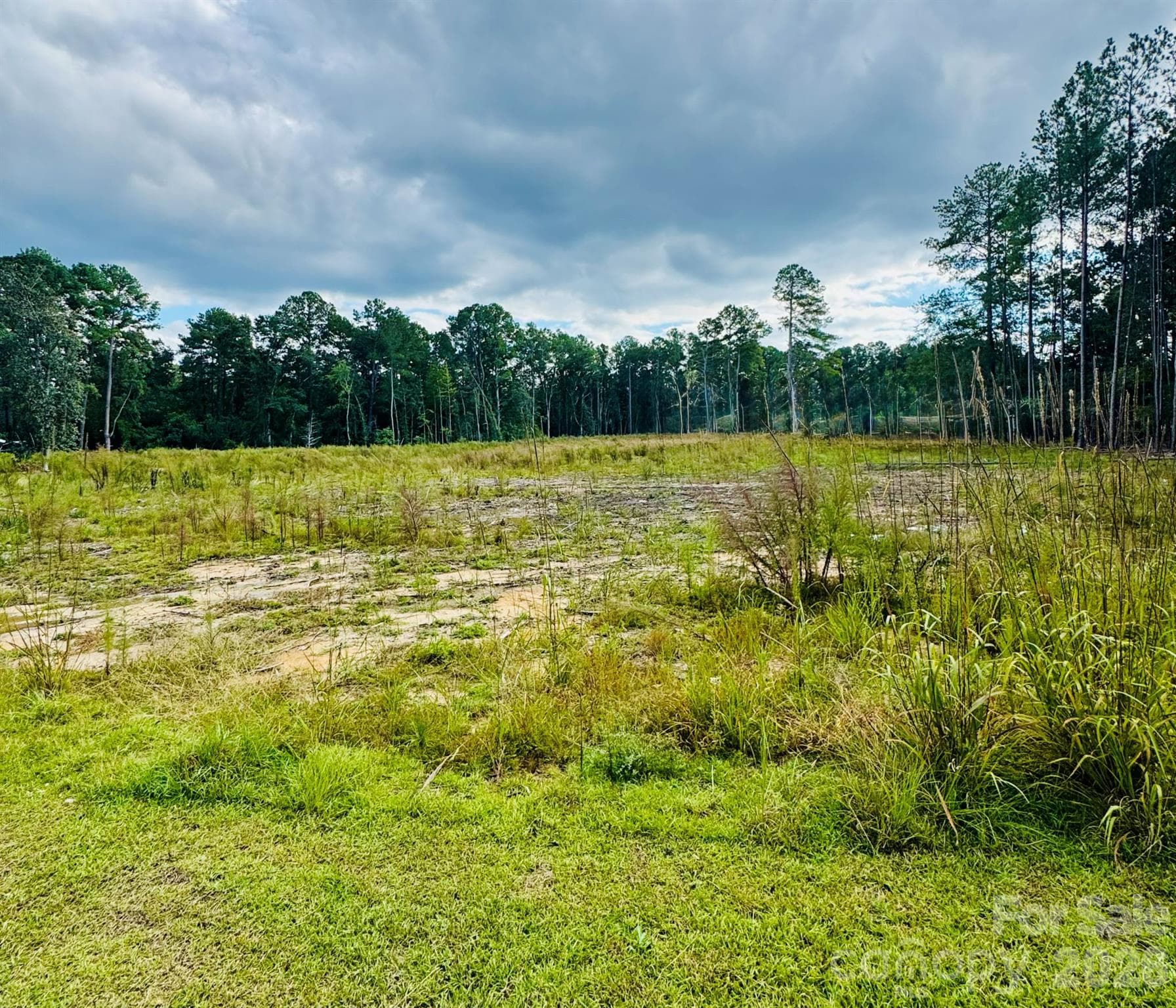 Acreage at 0000 State Road, Cheraw, photo 12 of 20