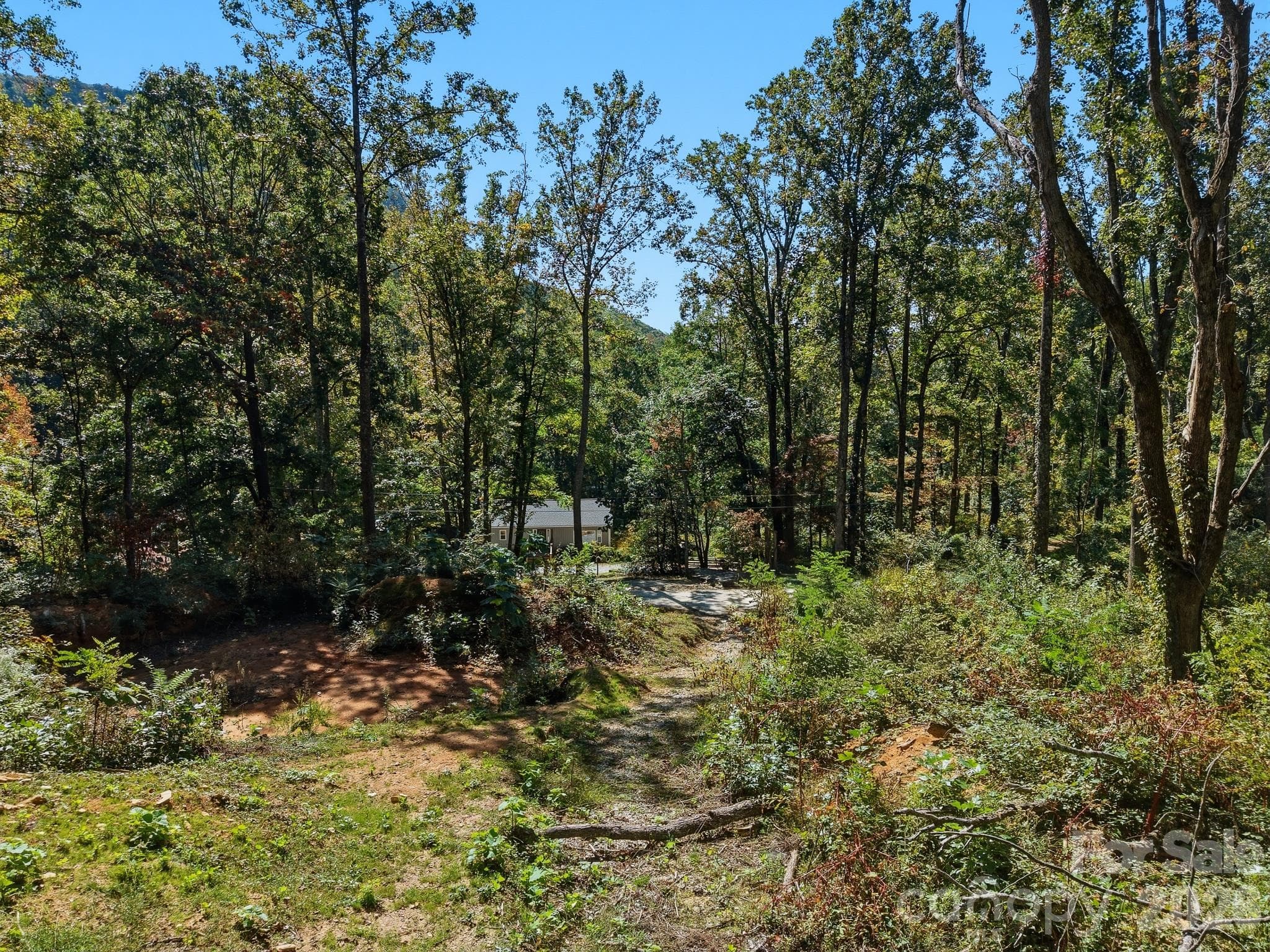 Looking from cleared area back down to Pioneer Ln - 6 Pioneer Lane, Hendersonville