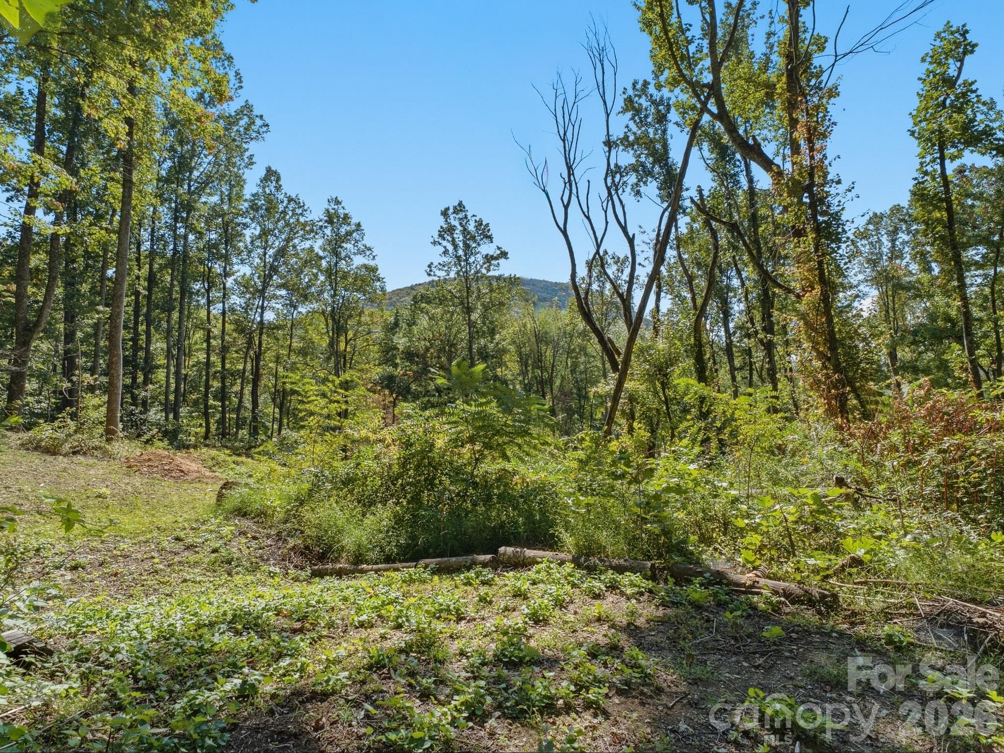 Lot at 6 Pioneer Lane, Hendersonville, photo 25 of 27