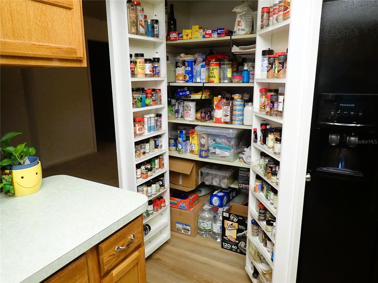 Single Family Residence at 3833 TWILIGHT DR, VALRICO, photo 14 of 40