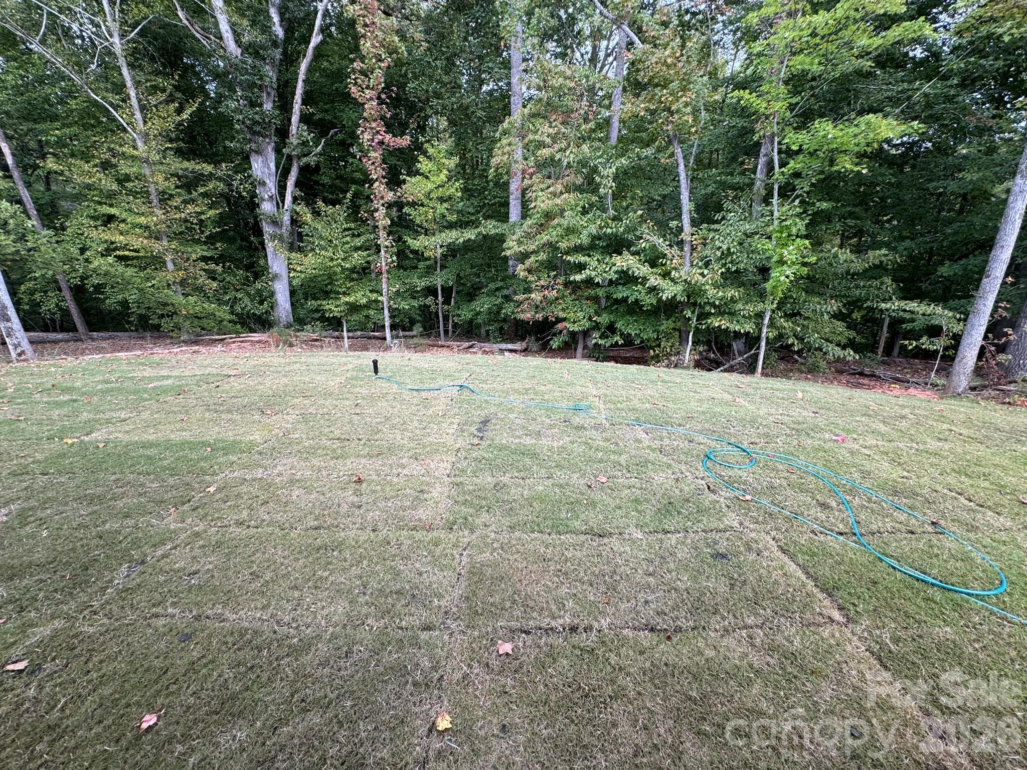 Backyard - 5087 McLaughlin Loop, Waxhaw