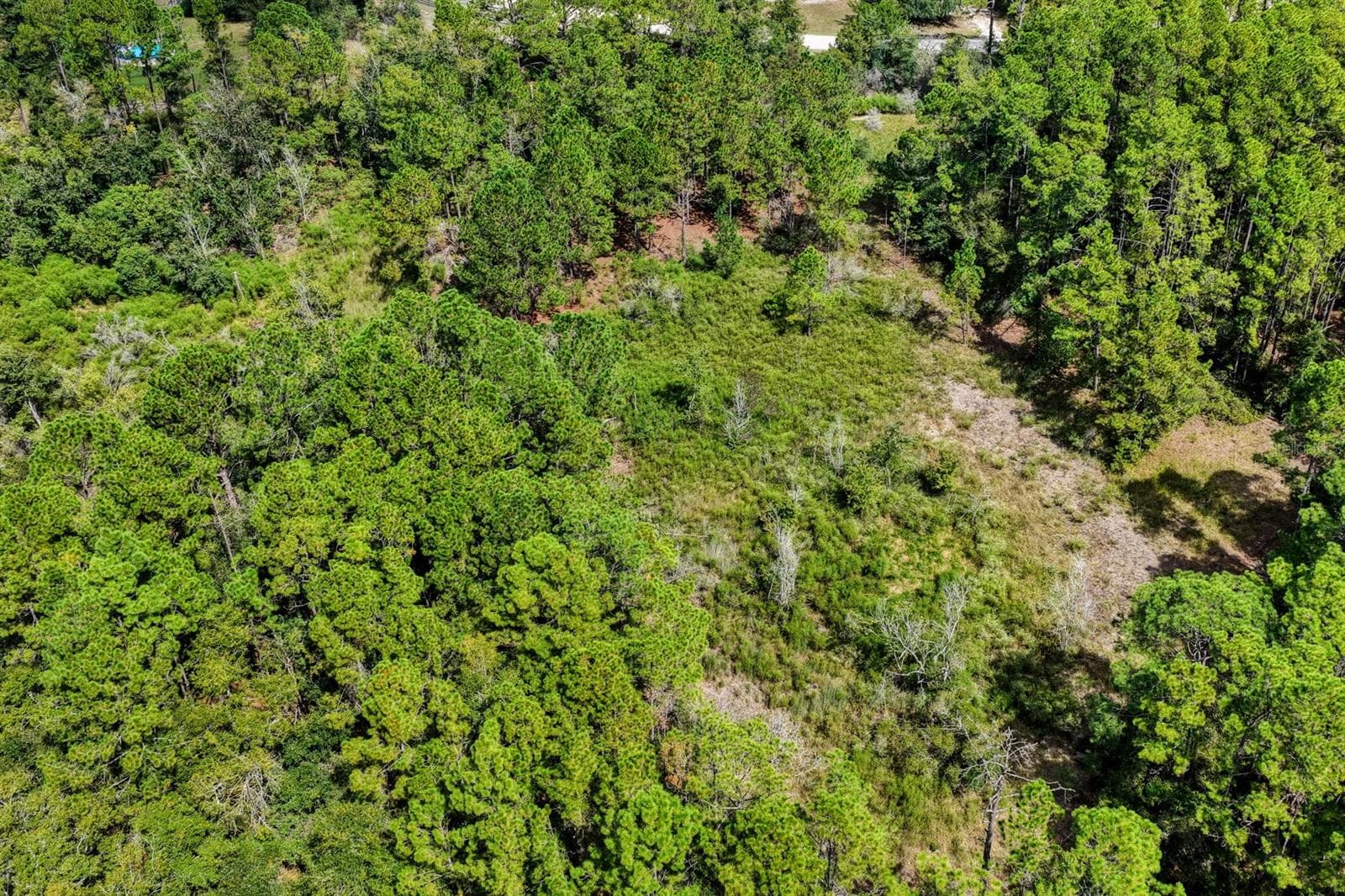 Land at 0 SE 91ST TRL, TRENTON, photo 6 of 11