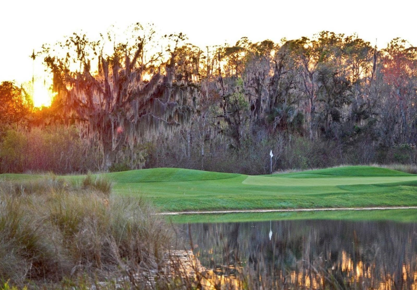 Celebration Golf Club - 501 MIRASOL CIR #411, CELEBRATION