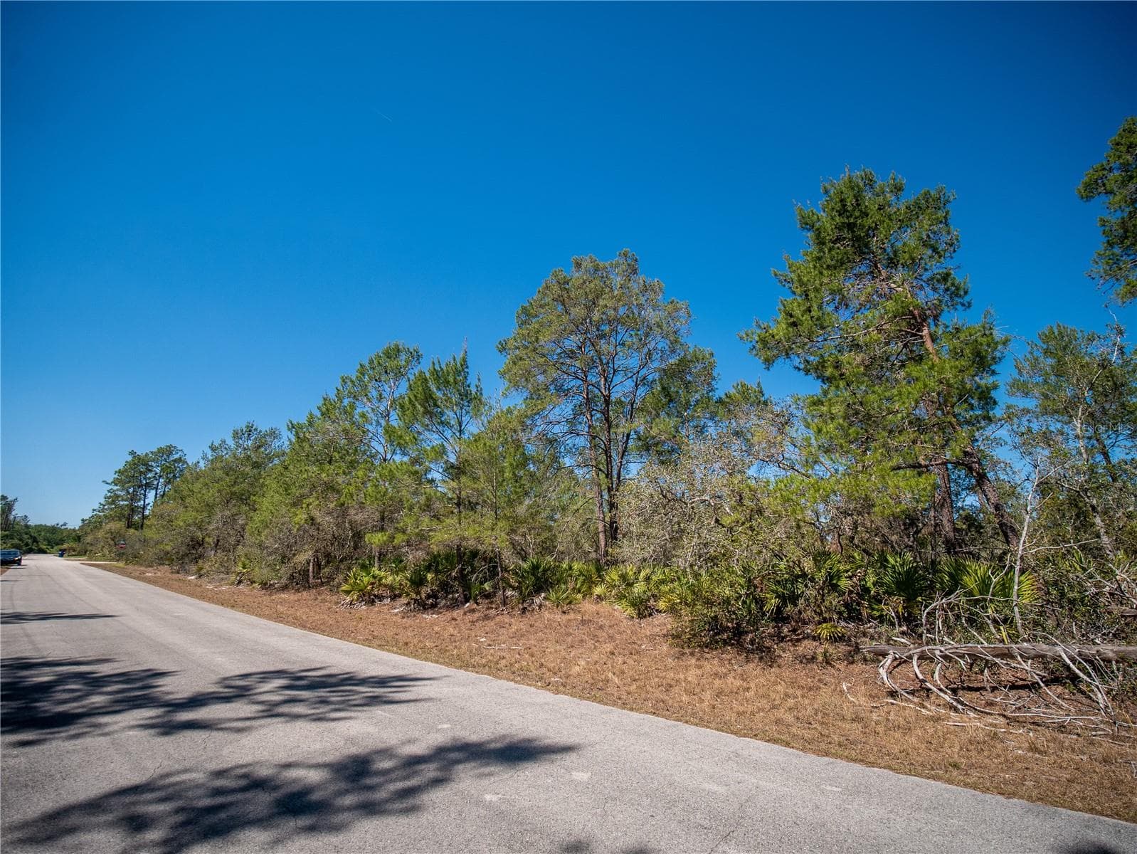 Land at 936 BREEZY RD, LAKE PLACID, photo 5 of 8