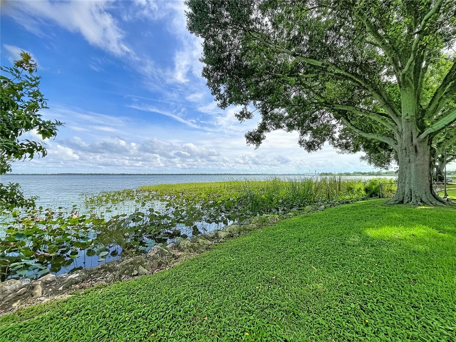 Lakefront view - 1348 EDGEWATER BEACH DR, LAKELAND
