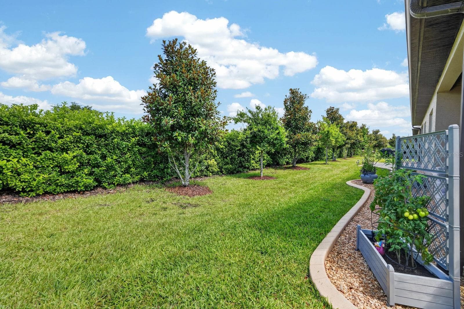 Yard - 3250 BAILEY ANN DR, ORMOND BEACH