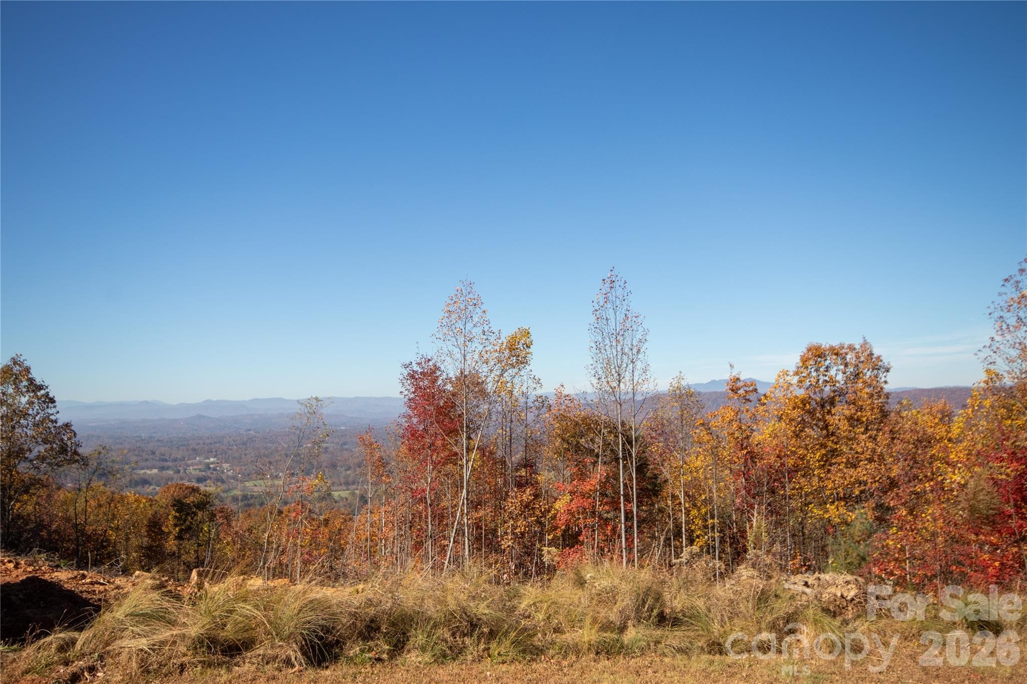 Clearing still in progress but view includes Mt Mitchell, Table Rock, Hawksbill, Grandmother and Grandfather (behind trees) - Lot# 3 Peregrine Terrace, Lenoir