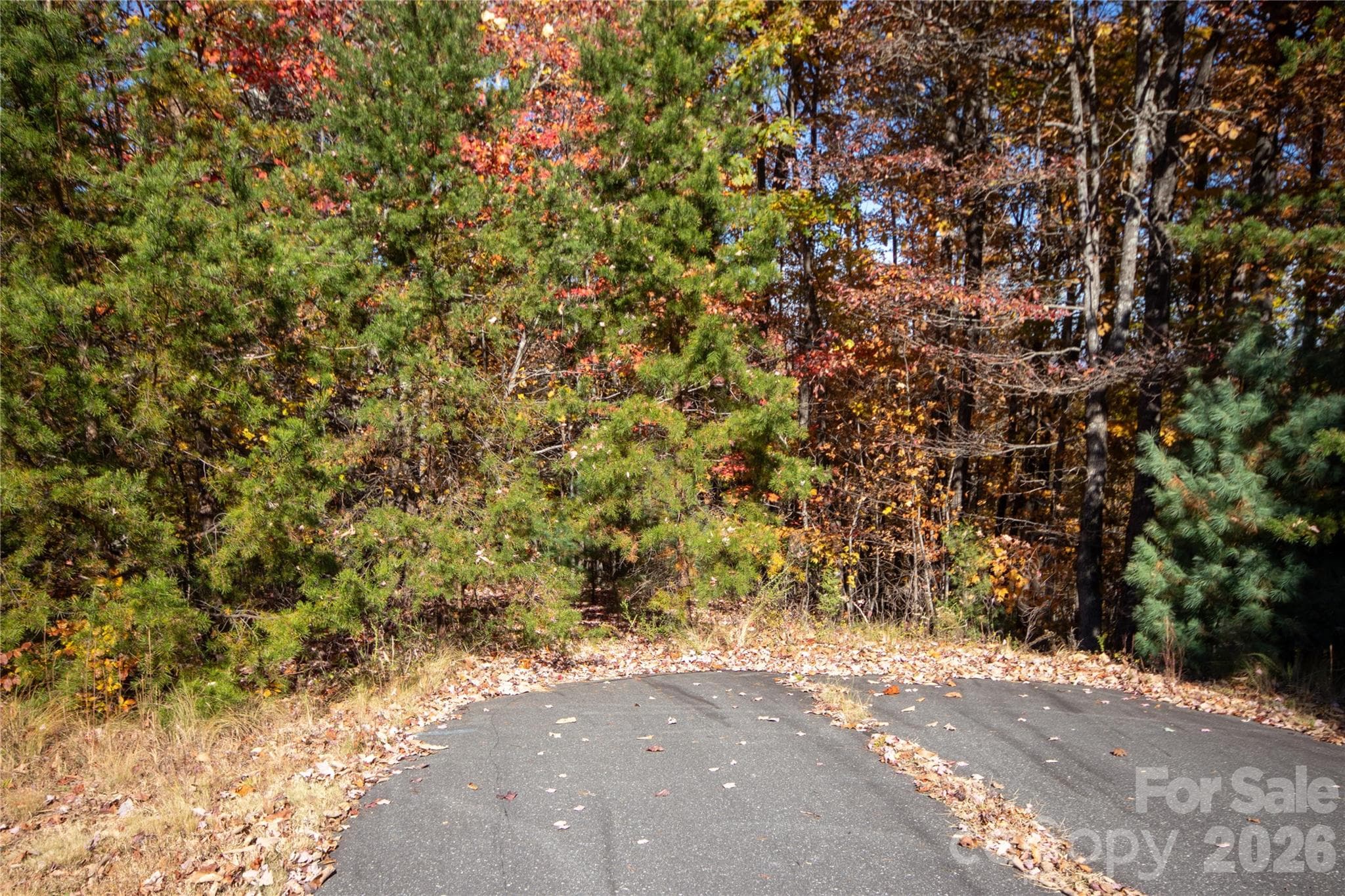 Property starts at end of Pavement - Lot# 4 Peregrine Terrace, Lenoir