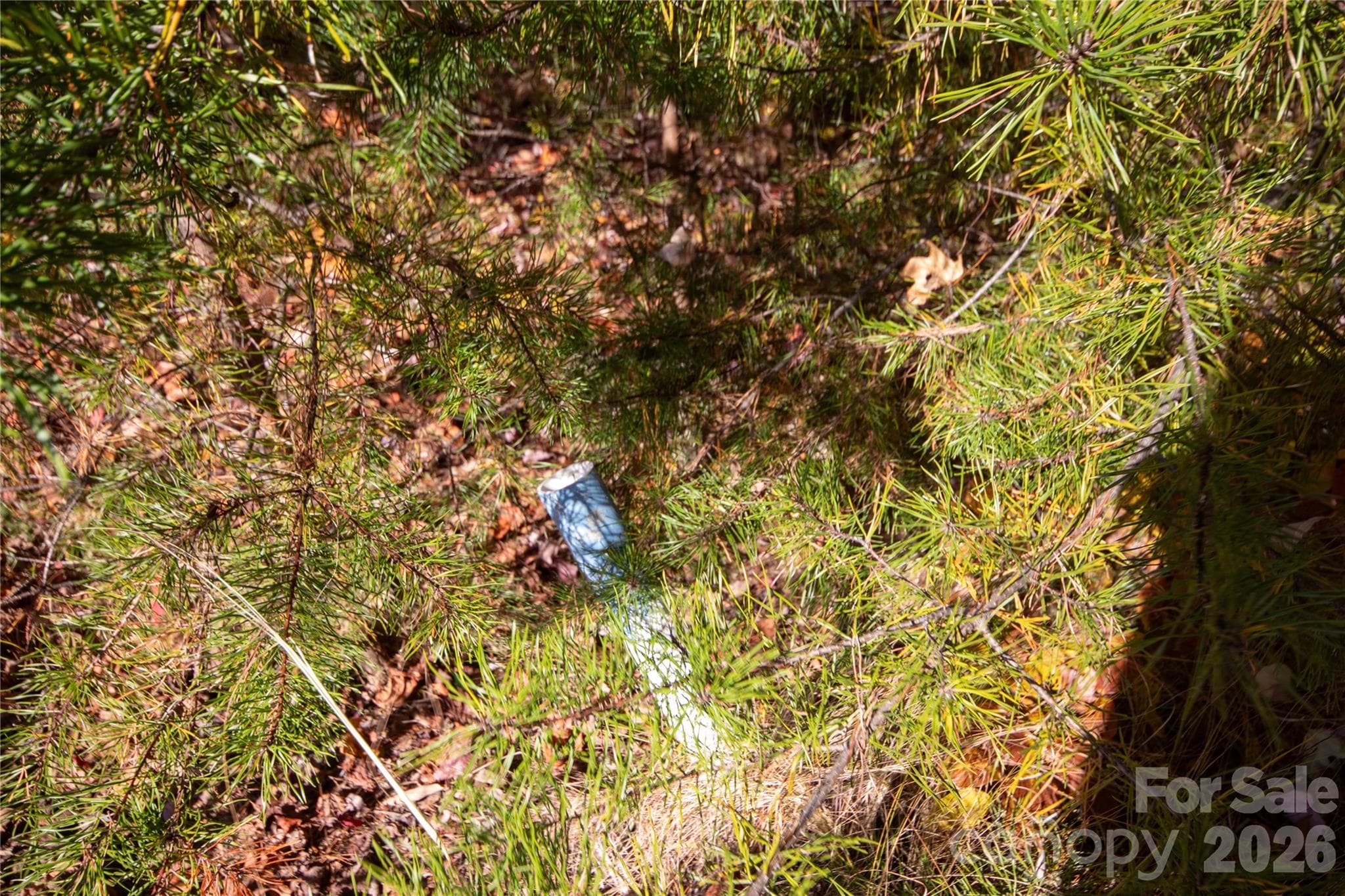 Property Marker at end of Pavement - Lot# 4 Peregrine Terrace, Lenoir