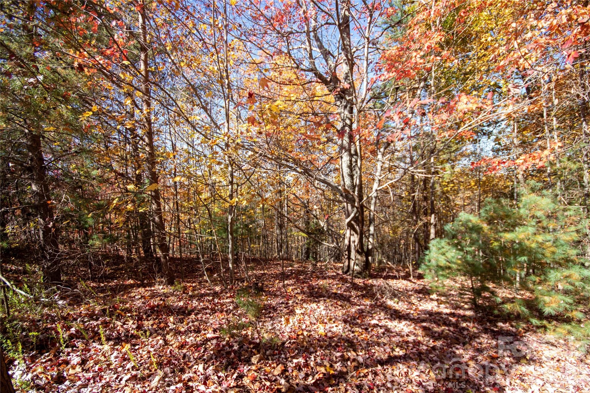 Lot at Lot# 4 Peregrine Terrace, Lenoir, photo 11 of 23