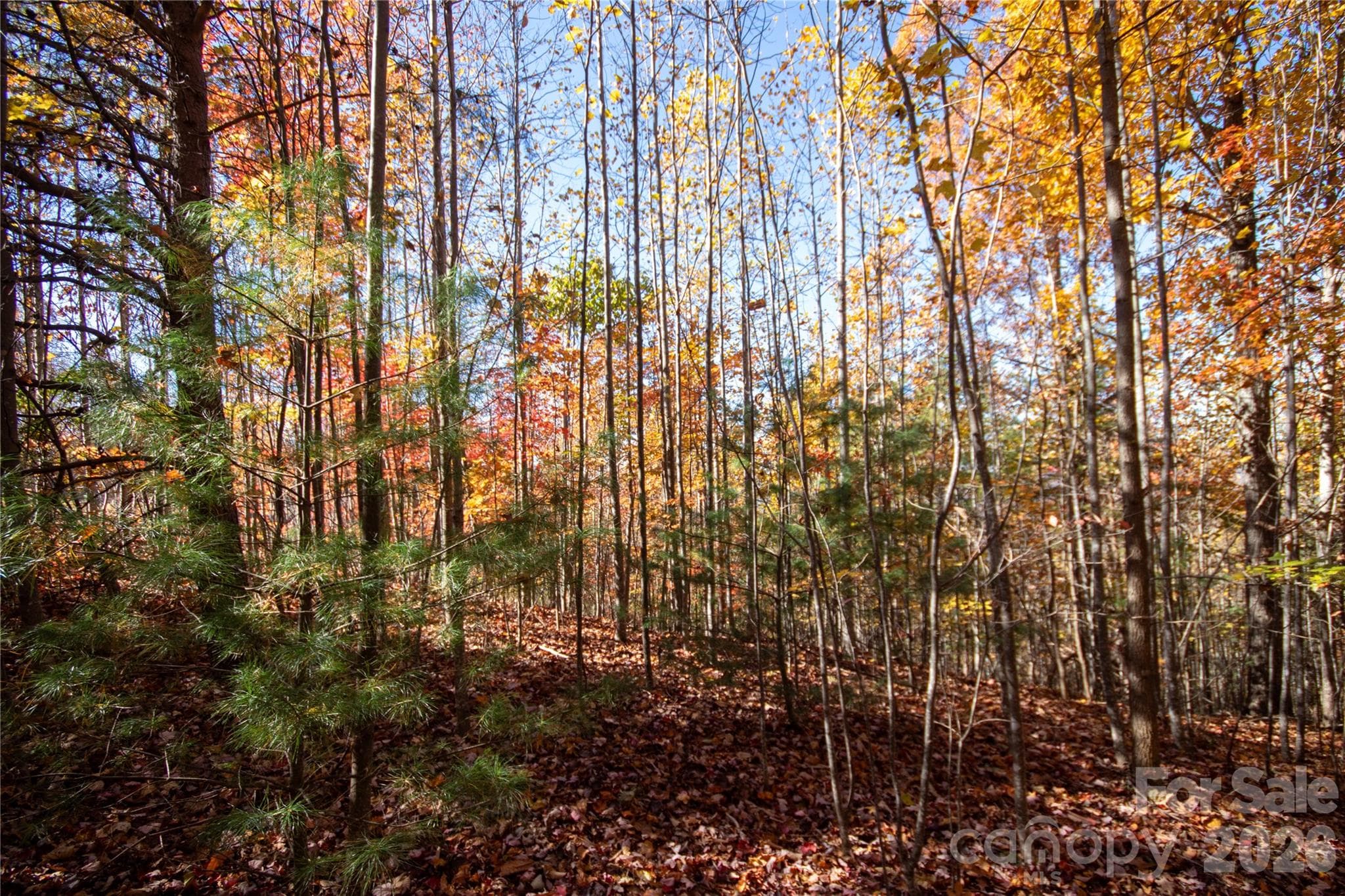 Lot at Lot# 4 Peregrine Terrace, Lenoir, photo 13 of 23
