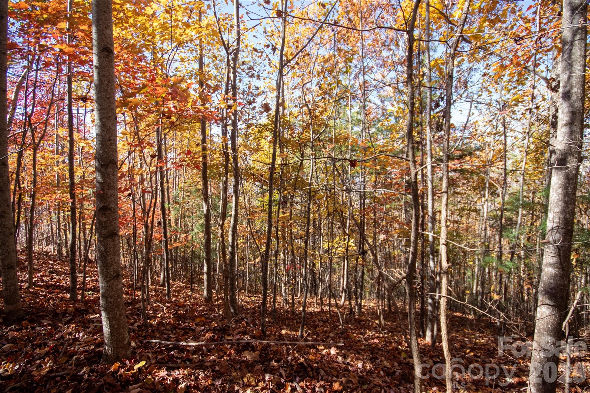 Lot at Lot# 4 Peregrine Terrace, Lenoir, photo 17 of 23