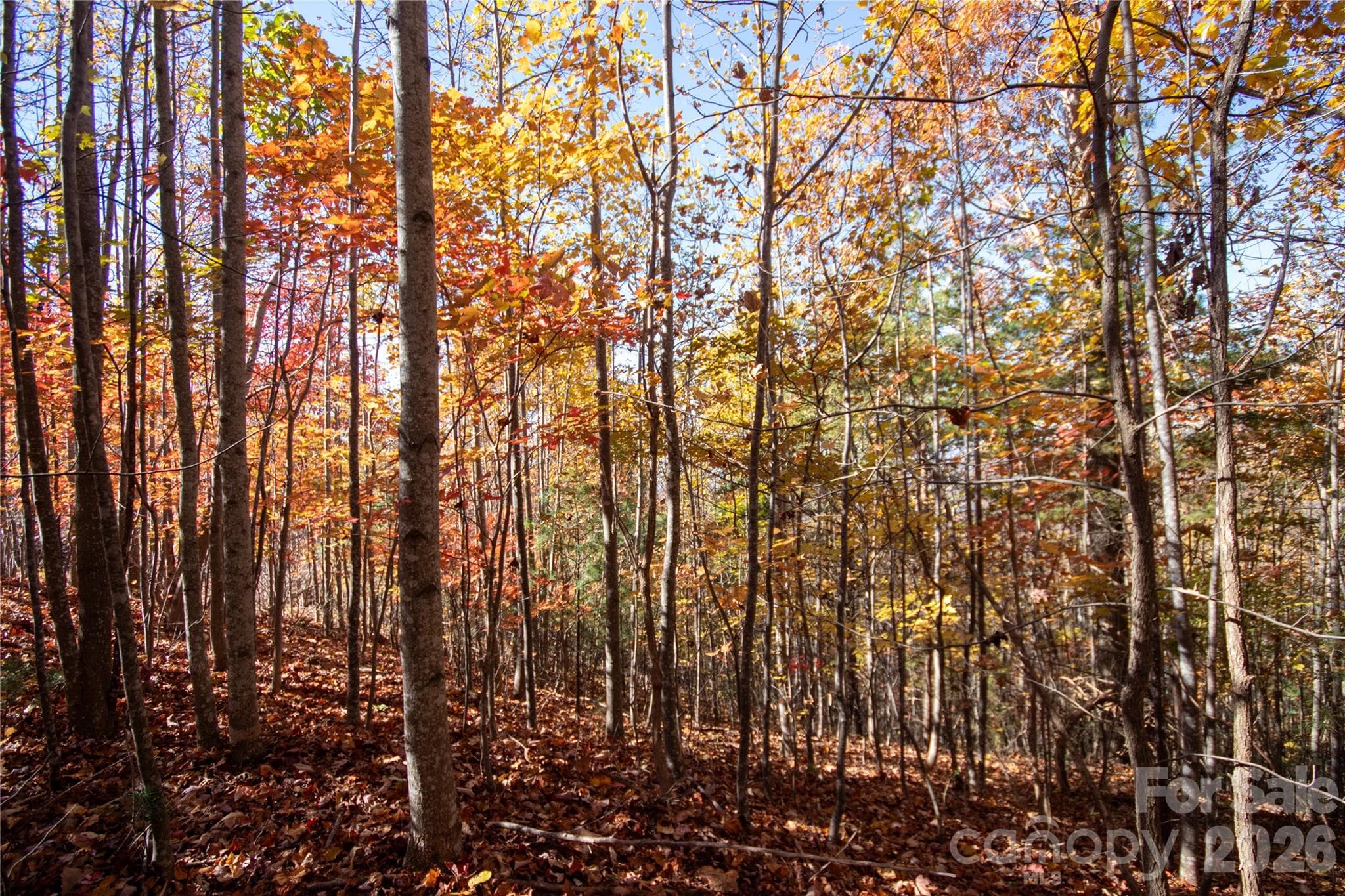 Lot at Lot# 4 Peregrine Terrace, Lenoir, photo 19 of 23