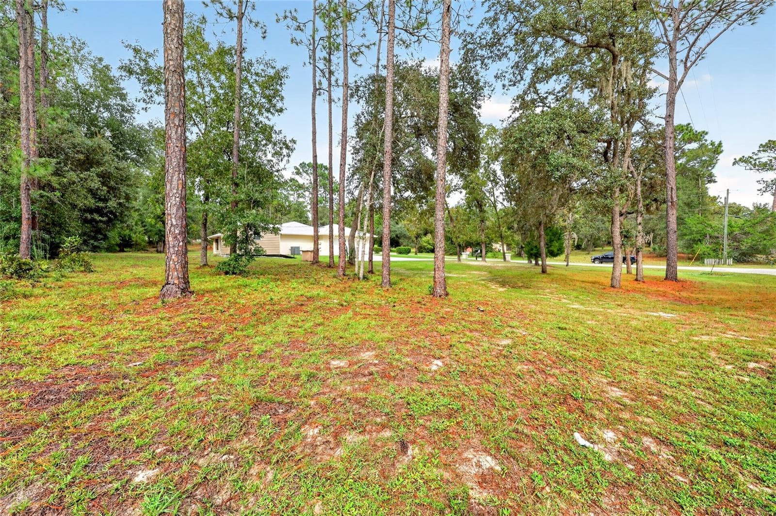 Single Family Residence at 9000 SW 206TH COURT RD, DUNNELLON, photo 52 of 69
