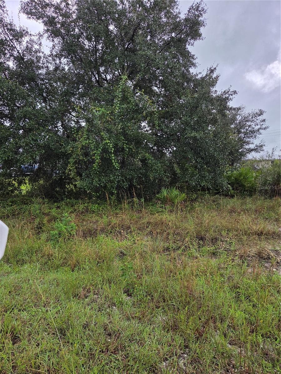 Land at 2505 69TH ST W, LEHIGH ACRES, photo 6 of 10