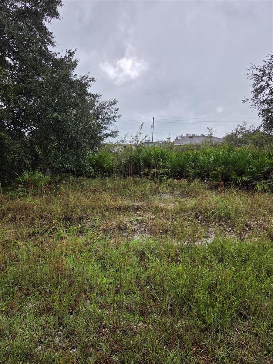 Land at 2505 69TH ST W, LEHIGH ACRES, photo 7 of 10