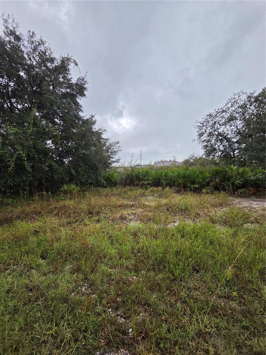 Land at 2505 69TH ST W, LEHIGH ACRES, photo 8 of 10
