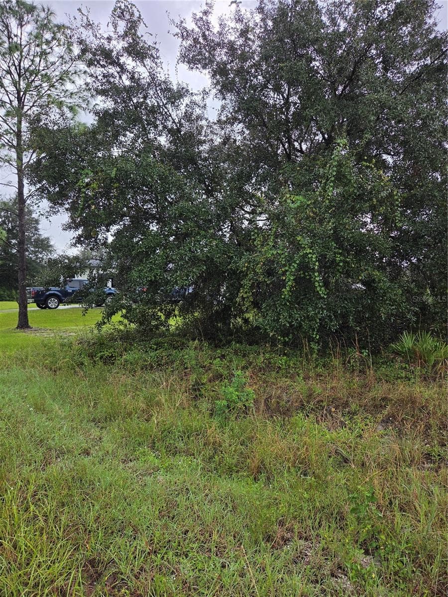 Land at 2505 69TH ST W, LEHIGH ACRES, photo 9 of 10