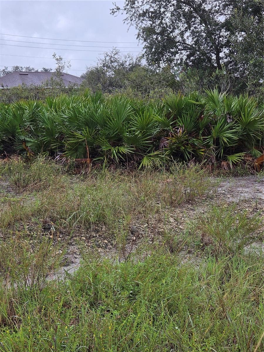 Land at 2505 69TH ST W, LEHIGH ACRES, photo 10 of 10