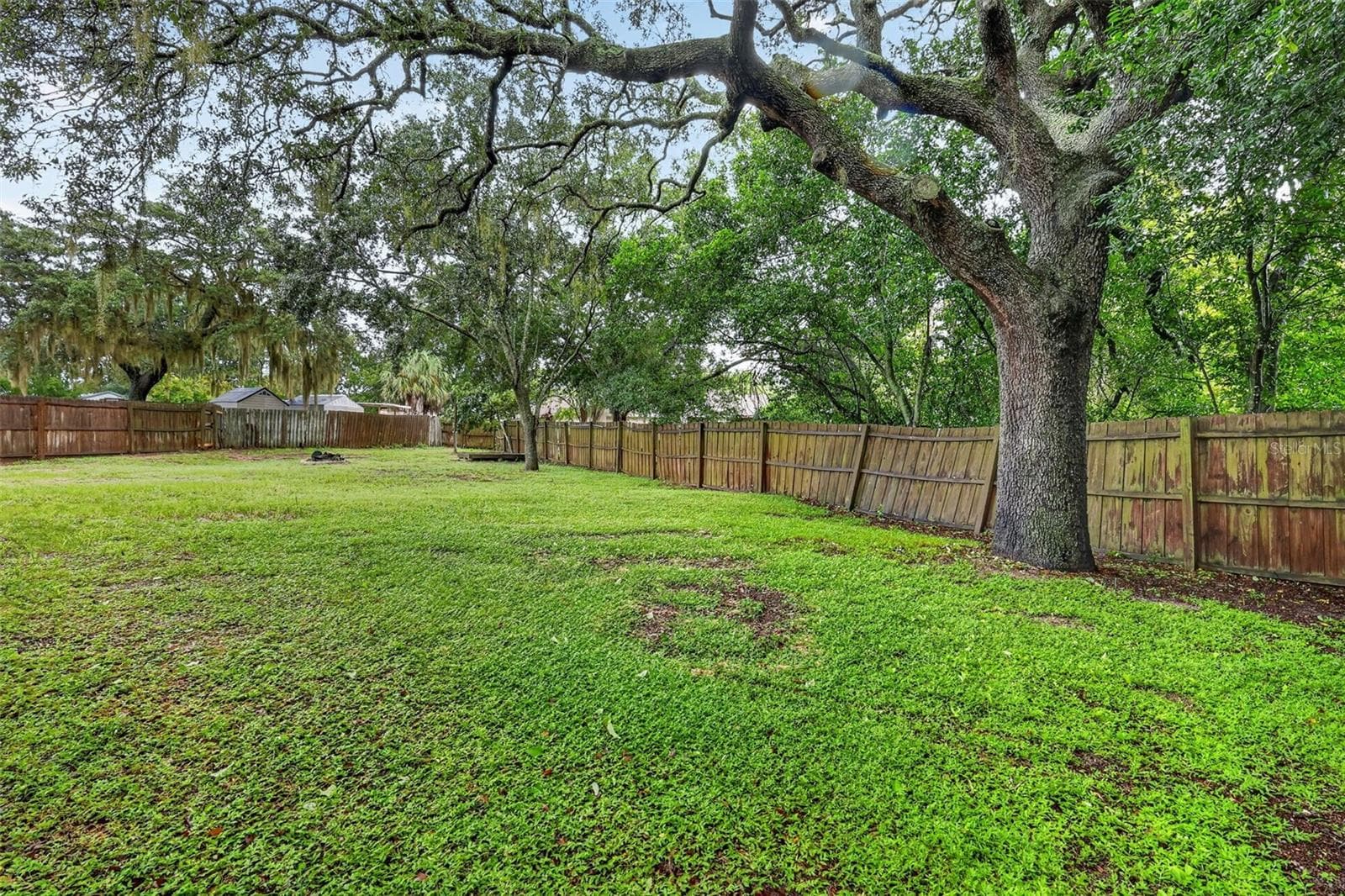 Backyard - 552 HIGHLAND DR, EUSTIS