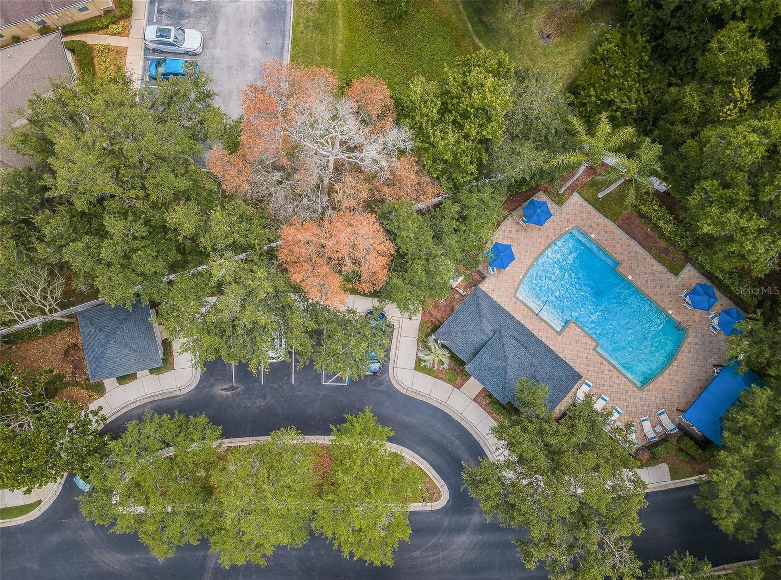 Villa at 10719 ASHFORD OAKS DR, TAMPA, photo 55 of 56