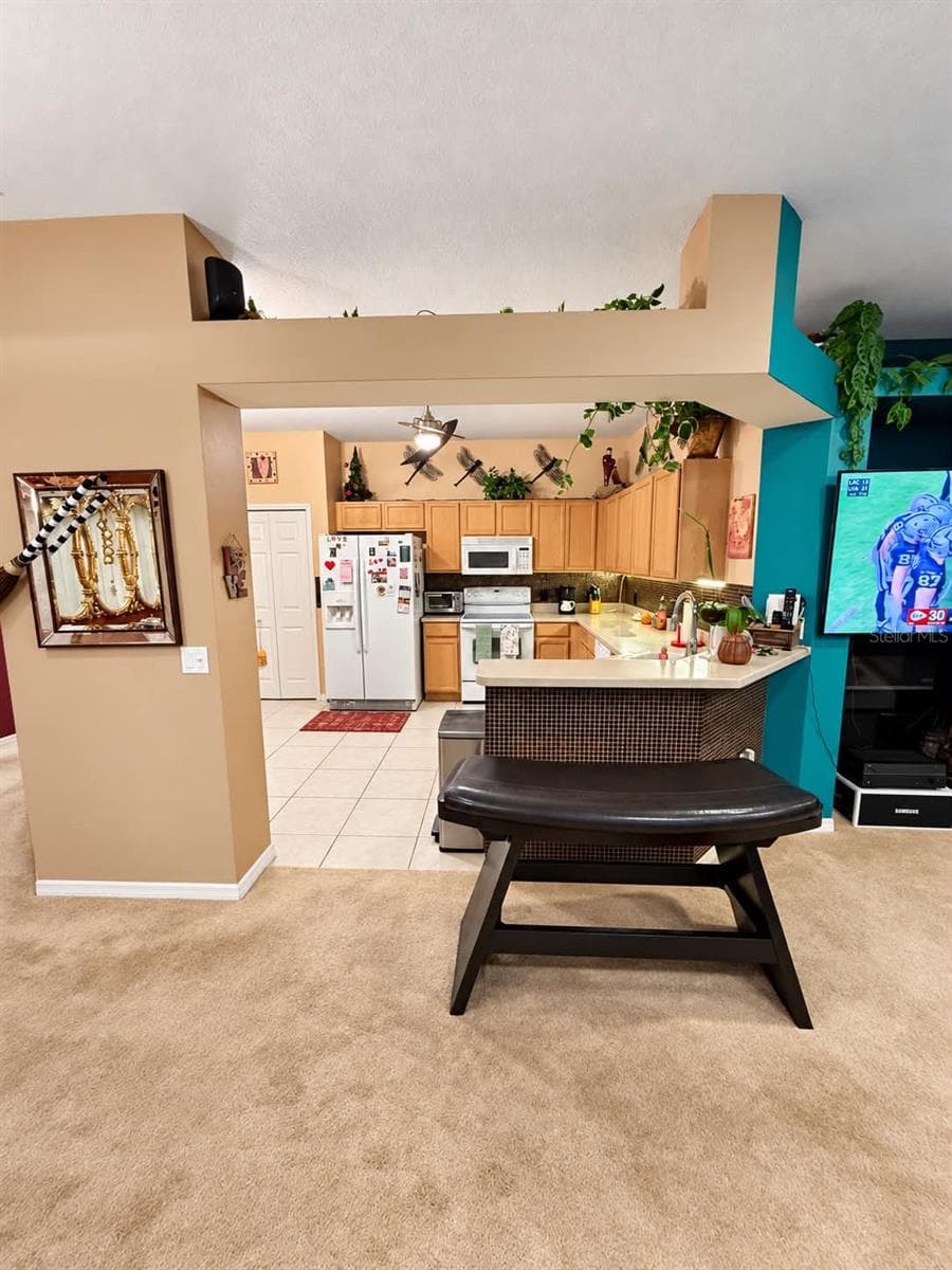 Villa at 21129 DIAMONTE DR, LAND O LAKES, photo 14 of 32