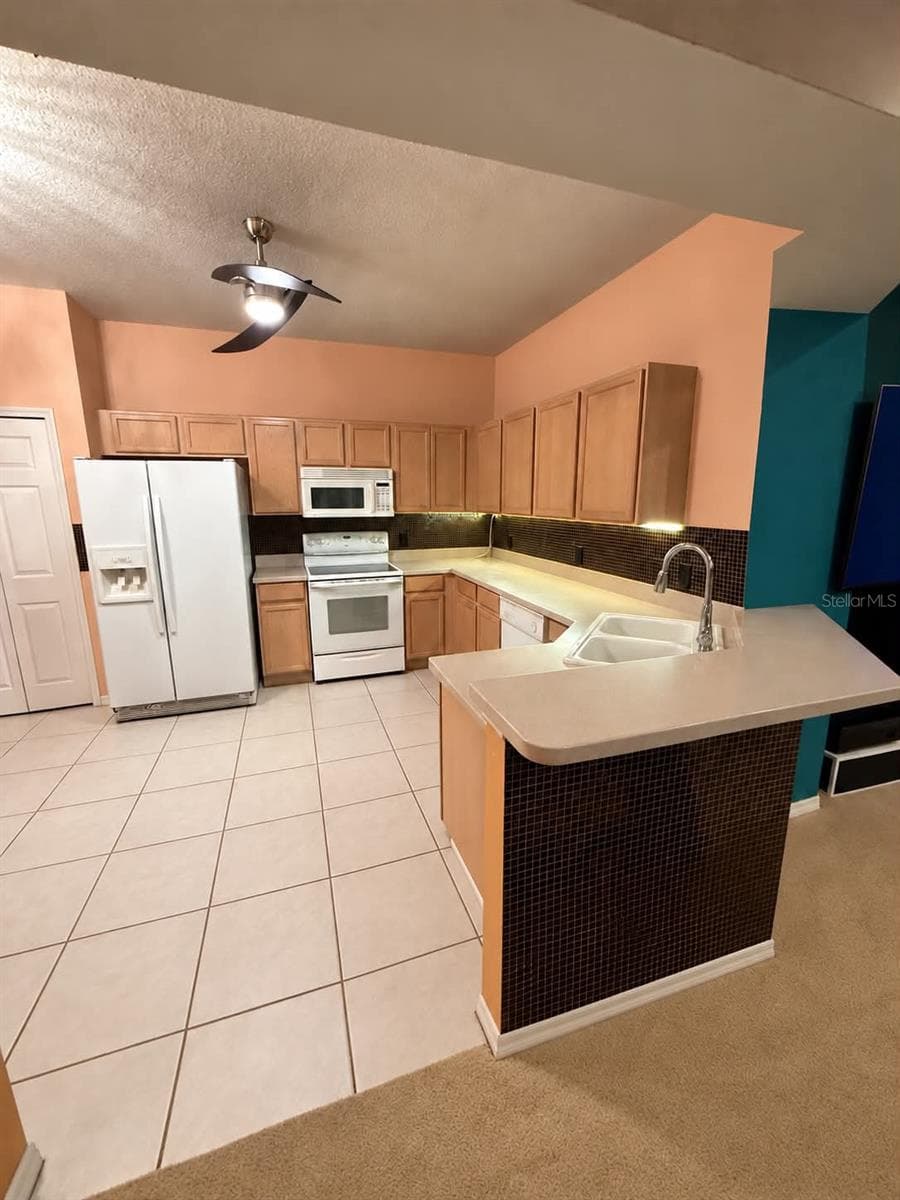 Villa at 21129 DIAMONTE DR, LAND O LAKES, photo 15 of 32