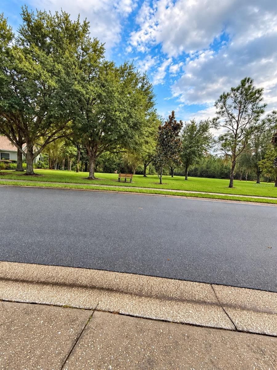 Villa at 21129 DIAMONTE DR, LAND O LAKES, photo 32 of 32