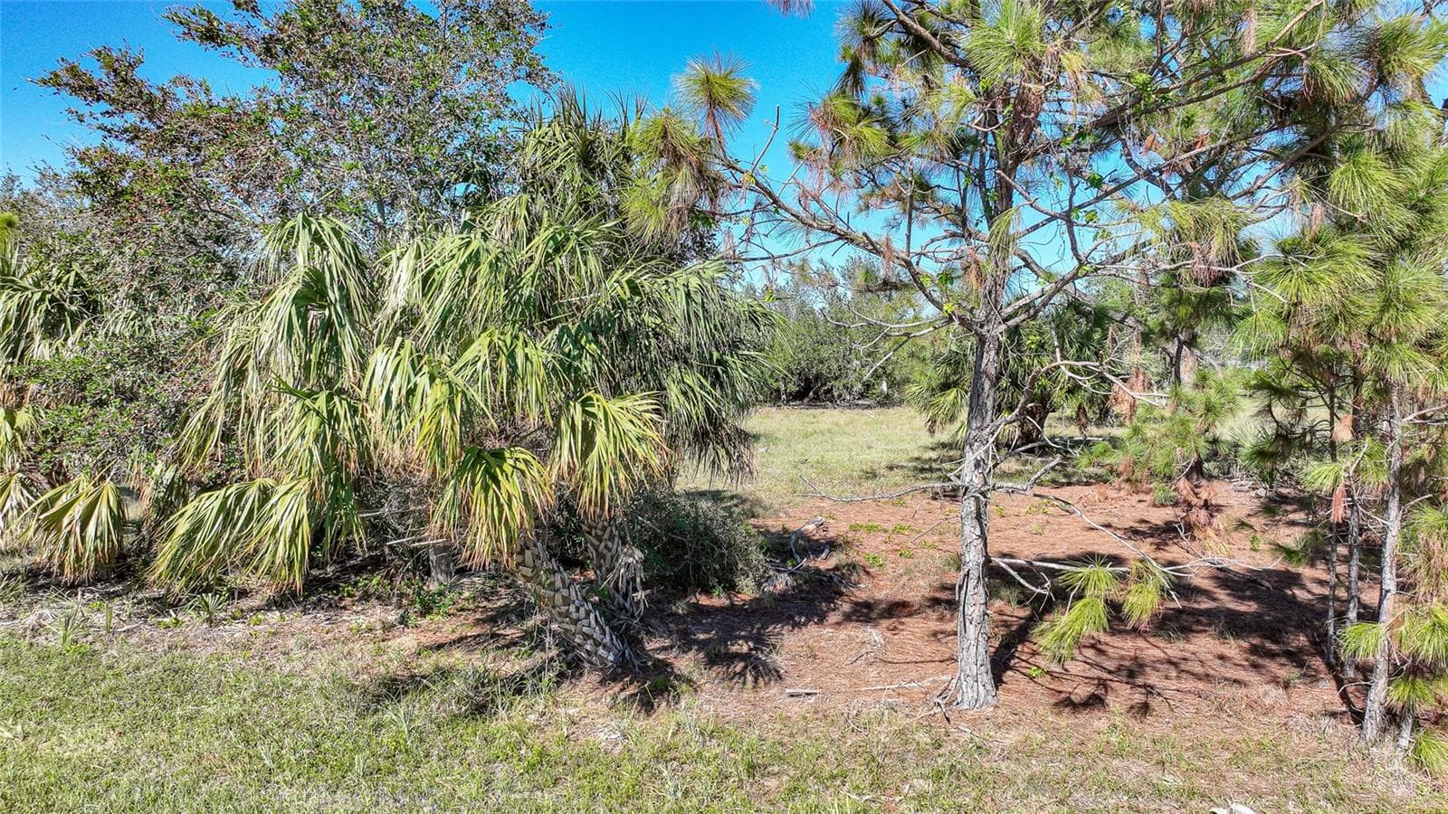 Land at 9531 & 9551 HORACE CIR, PORT CHARLOTTE, photo 6 of 24