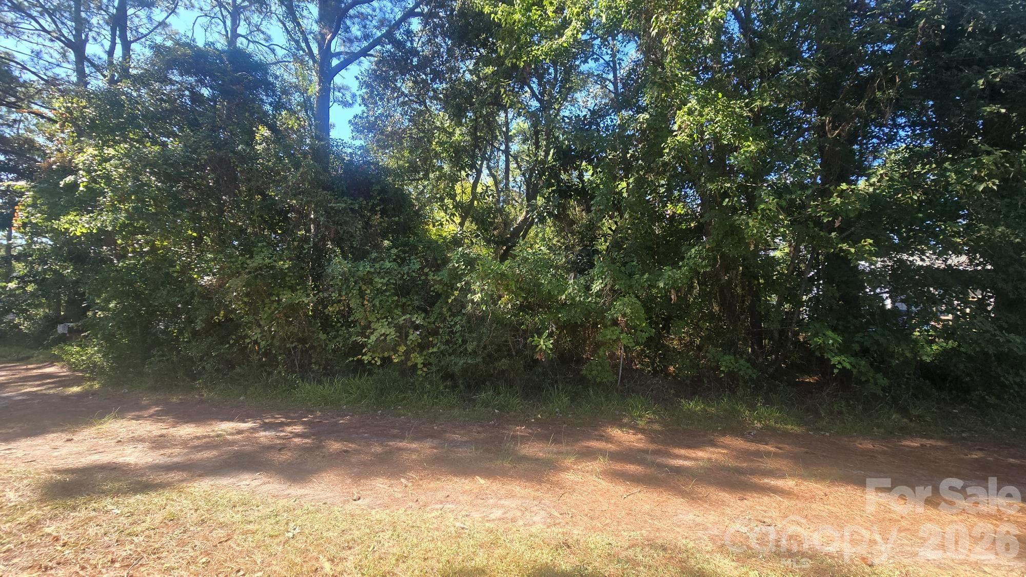 242 Lee Daniels Road