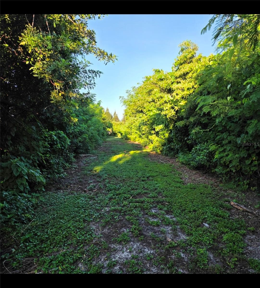 Land at 7405 FLORIDA ST, PUNTA GORDA, photo 5 of 8