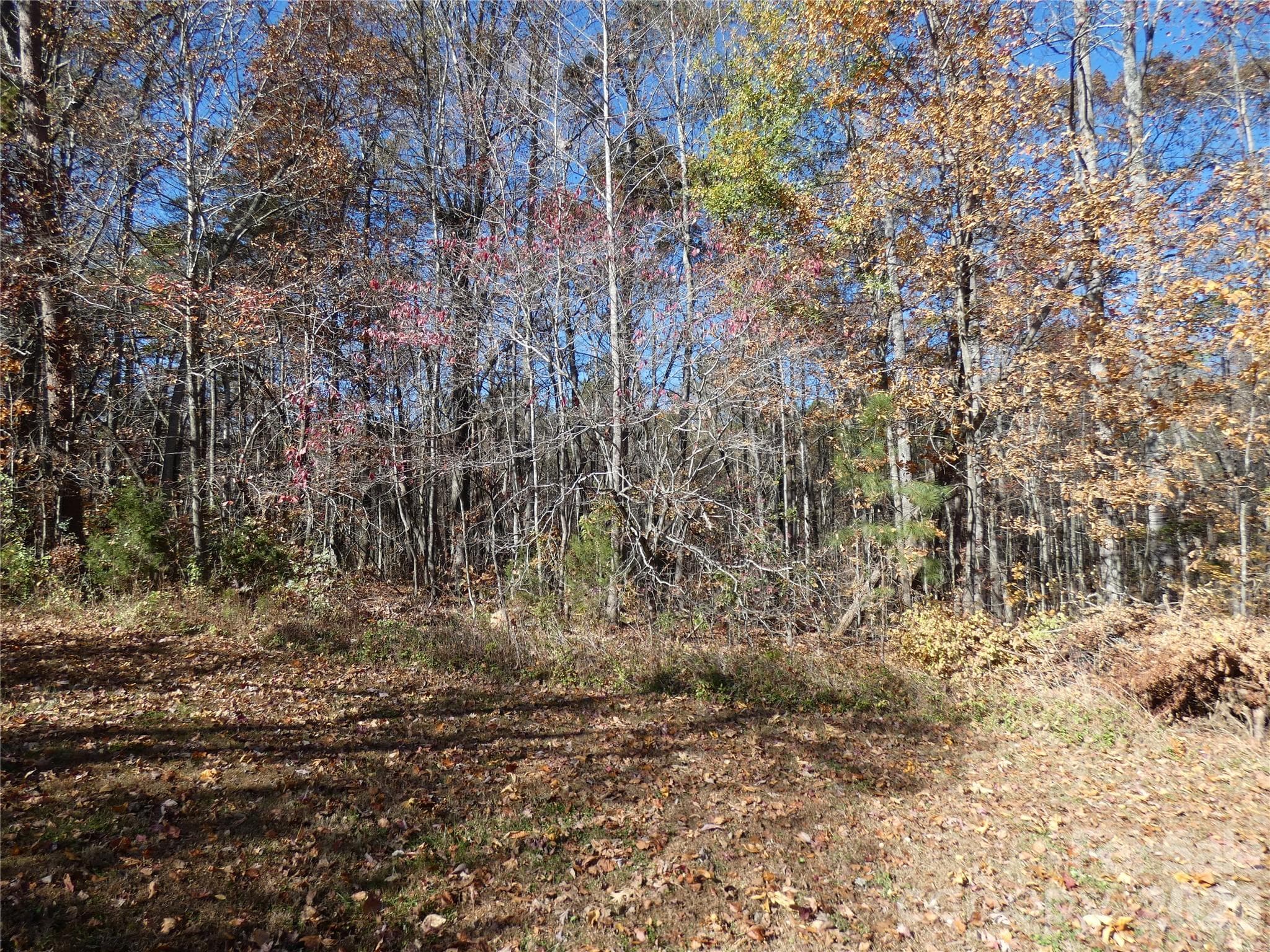 Woods - 150 Fonda Road, Statesville